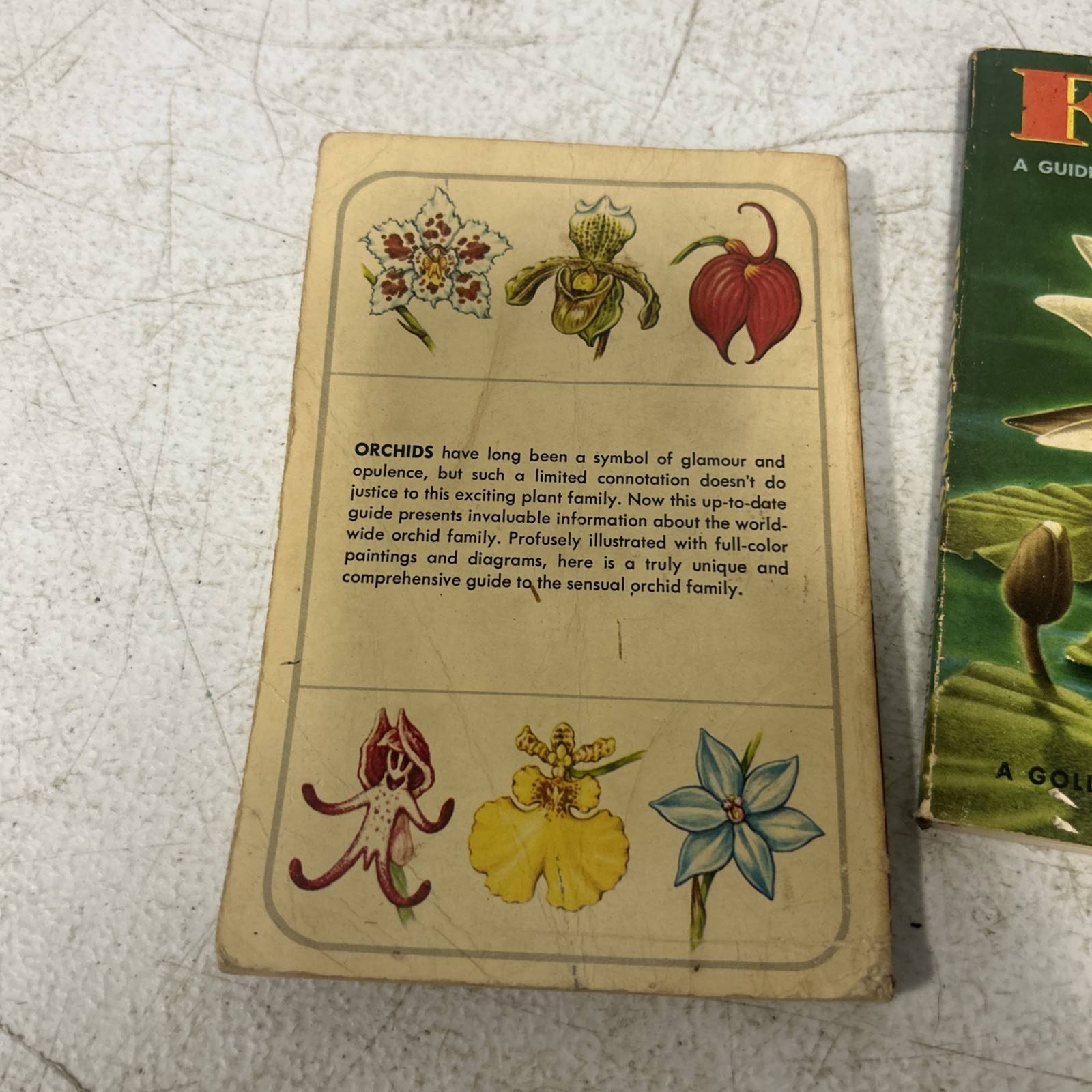 A Golden Nature Guide Lot Of 2 Books Flowers And Orchids