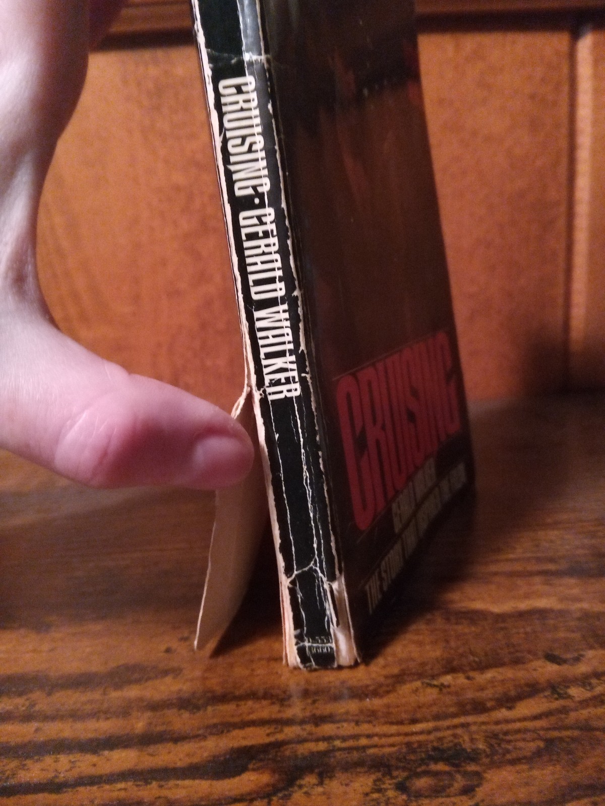 CRUISING by Gerald Walker BANTAM Edition 1980 Shows signs of wear BDSM novel GAY