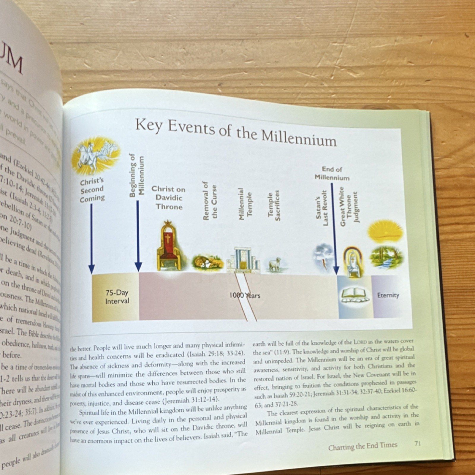 Charting the End Times by Tim LaHaye & Thomas Ice Hardcover Religion Guide