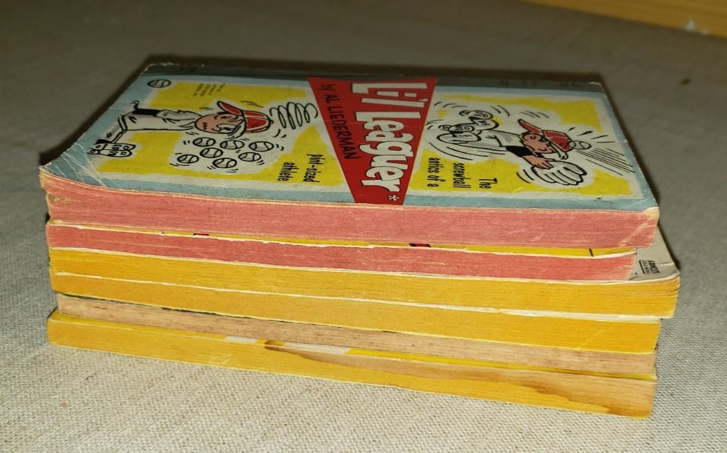 6 VINTAGE PAPERBACK BOOKS SEE DESCRIPTION