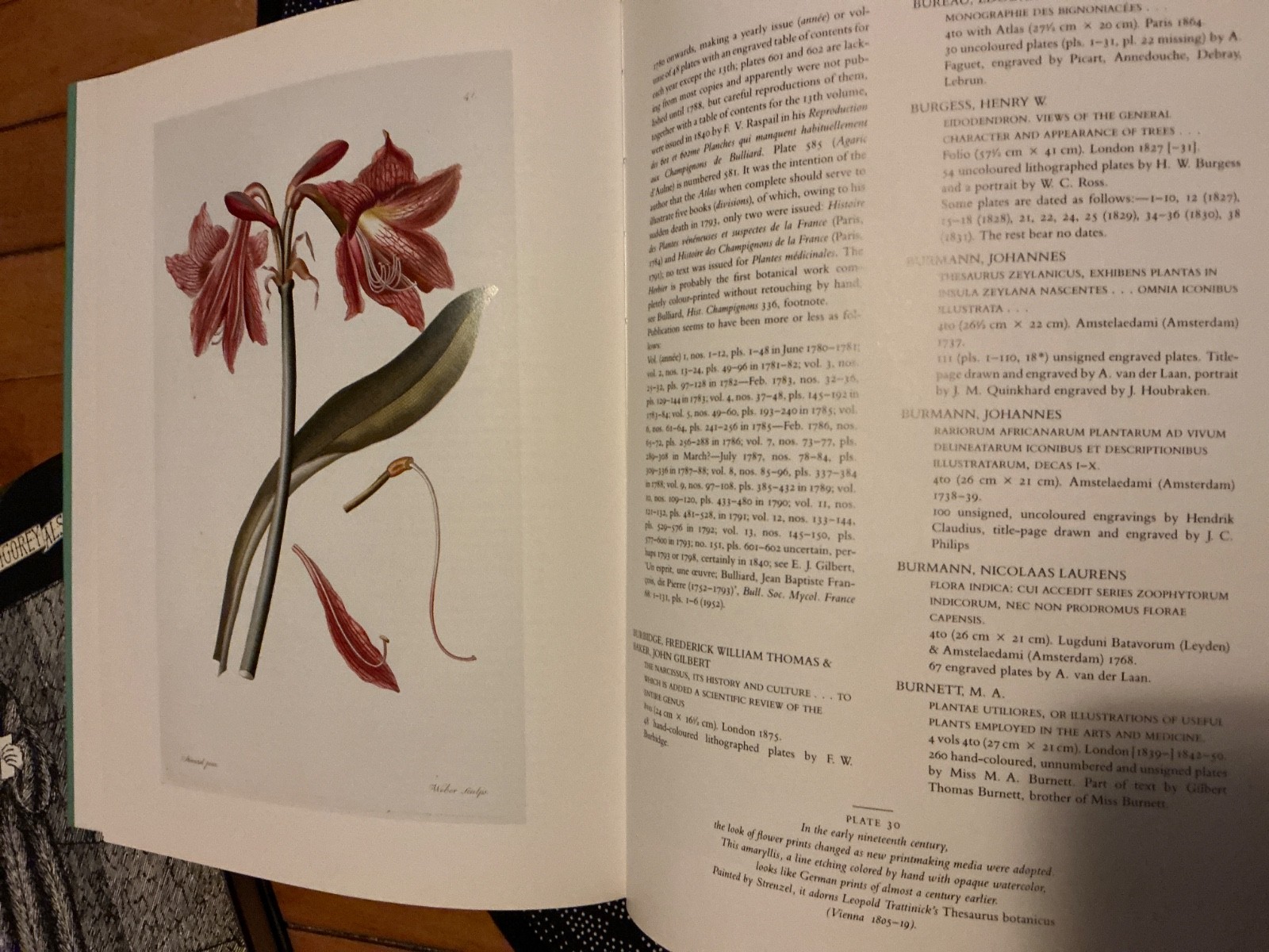 Great Flower Books, 1700-1900: A Bibliographical Record of Two Centuries of …