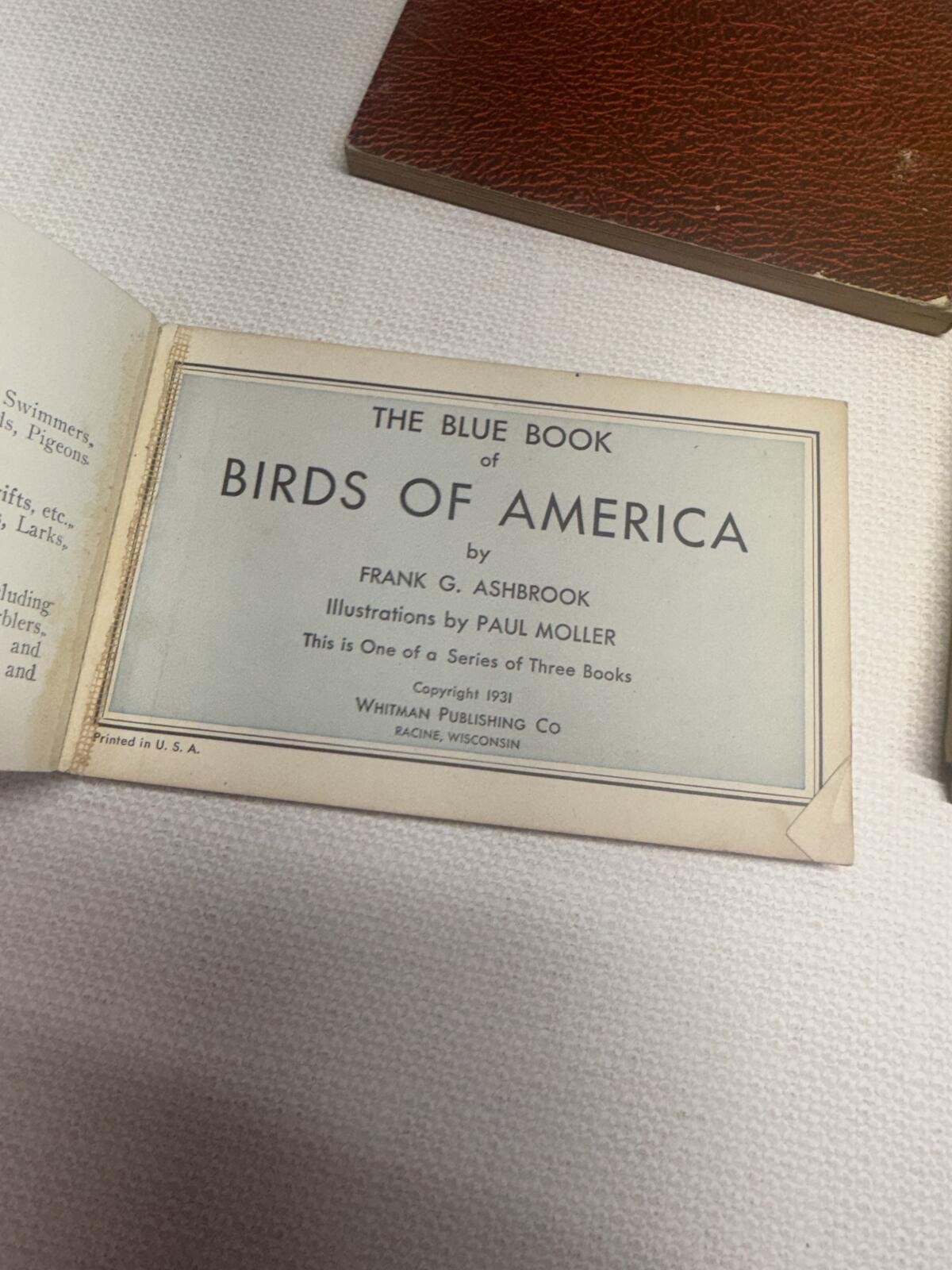 Vintage 1930s Lot Of Bird Identification Bird Watching Books