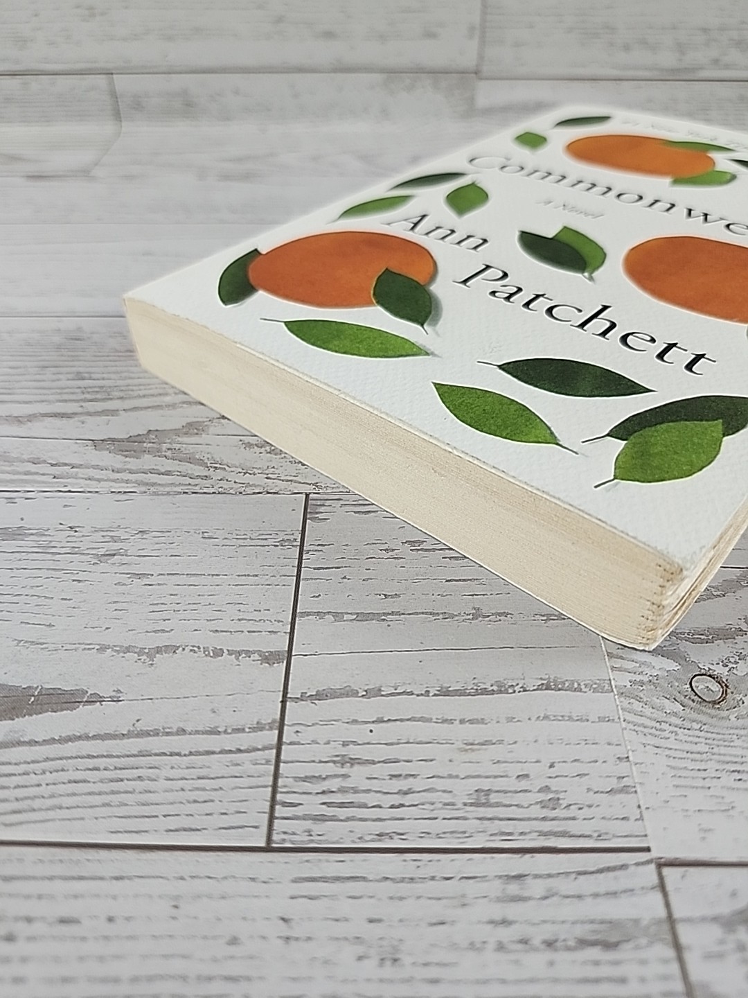 Commonwealth: A Novel – Ann Patchett, paperback Very Good