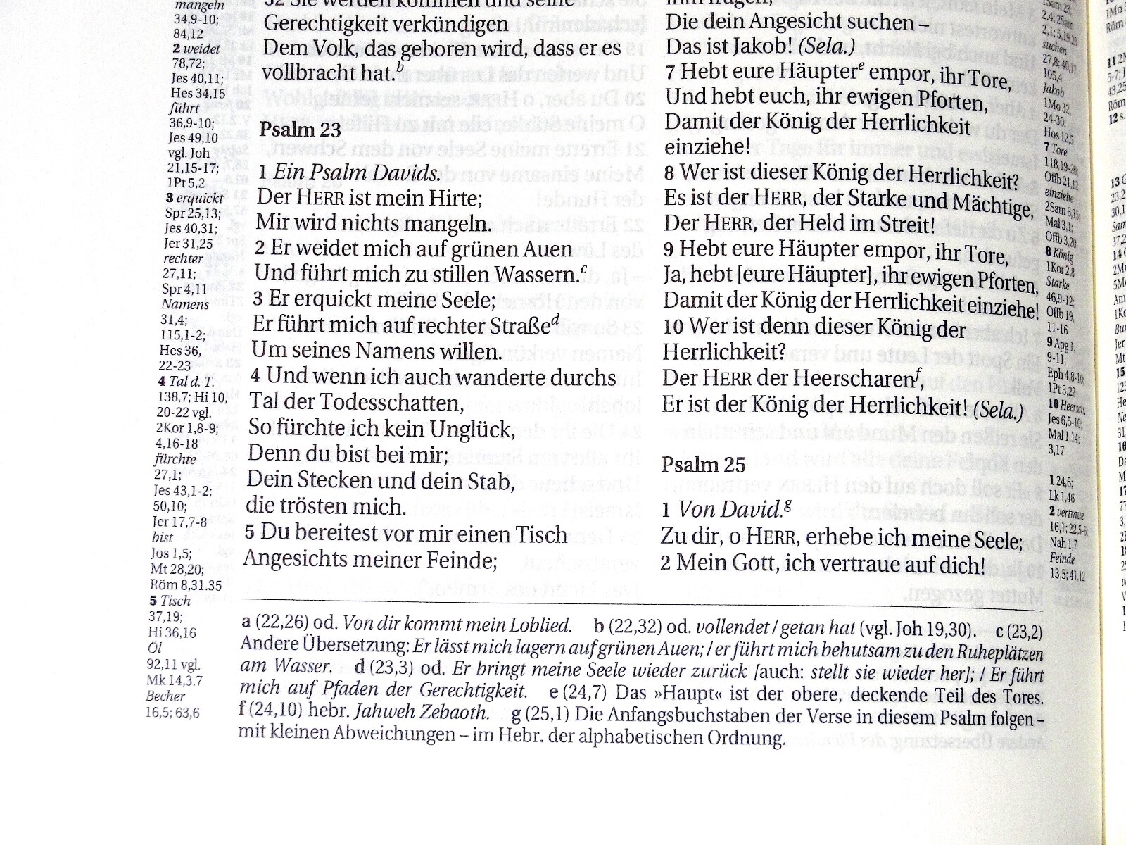 German Bible, Die Bibel, Schlachter 2000, Imitation Leather, Brown Black 2-toned
