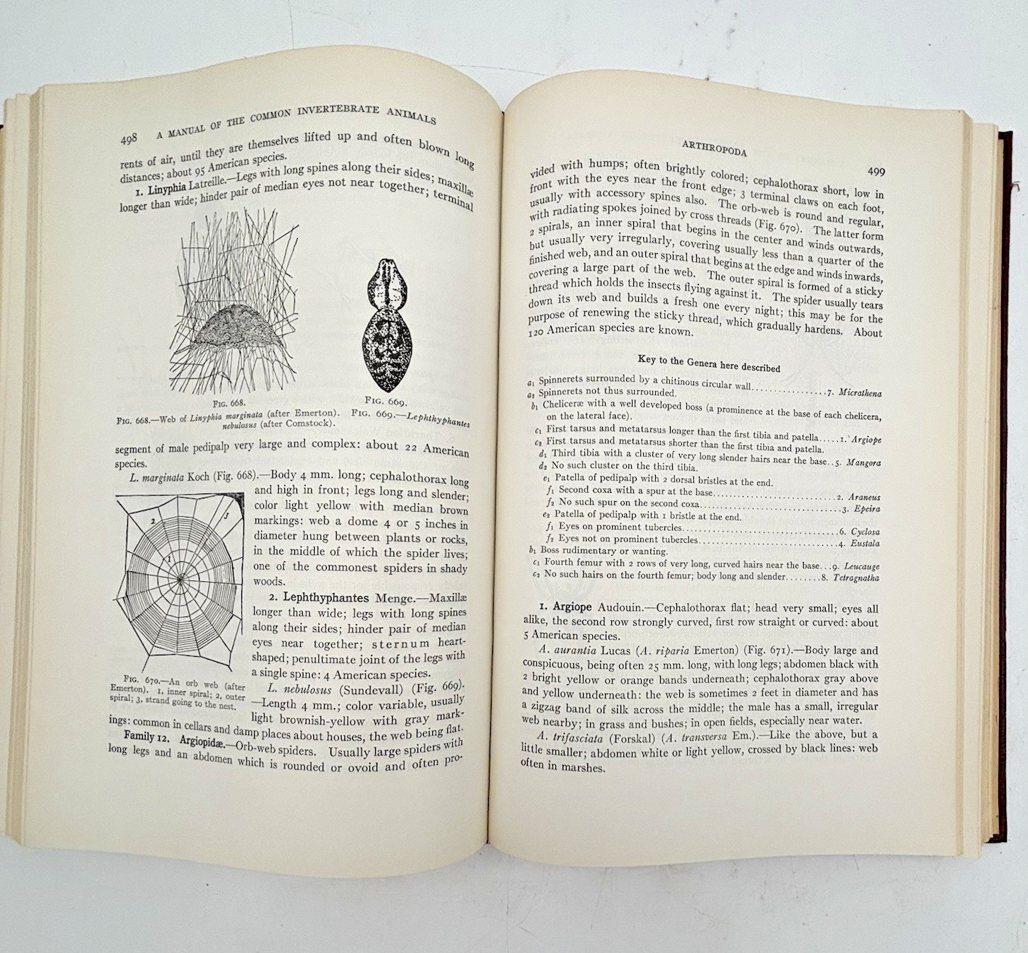 Manual of Common Invertebrate Animals excl. Insects | Revised HC 3lb