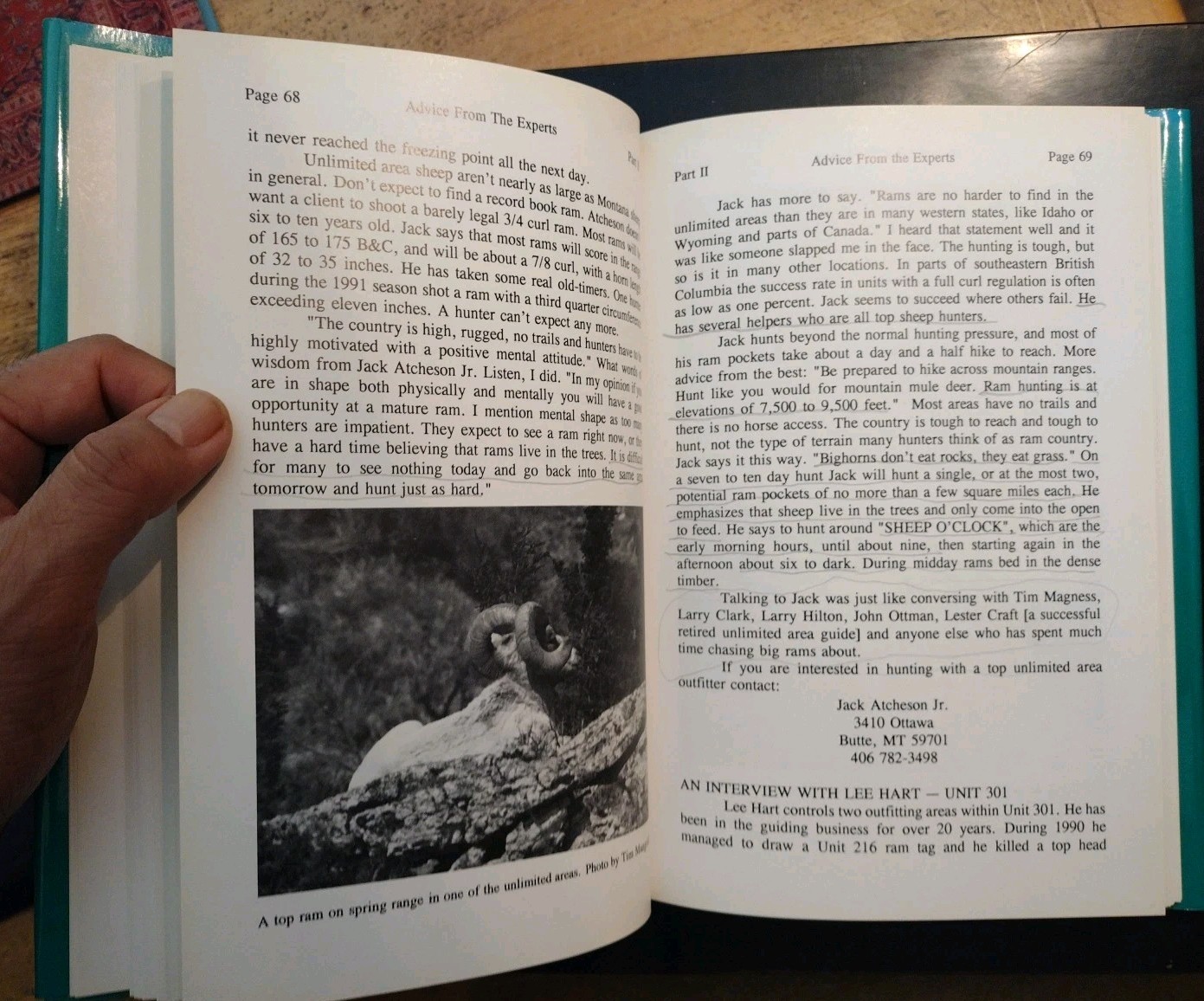 Signed #d 76/500 MONTANA – Land of the Giant Rams Vol. II. Duncan Gilchrist HCDJ