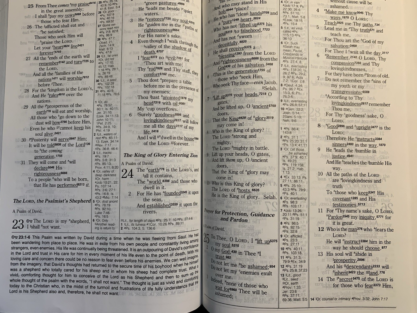 NASB Hebrew-Greek Key Word Study Bible Red Hardback