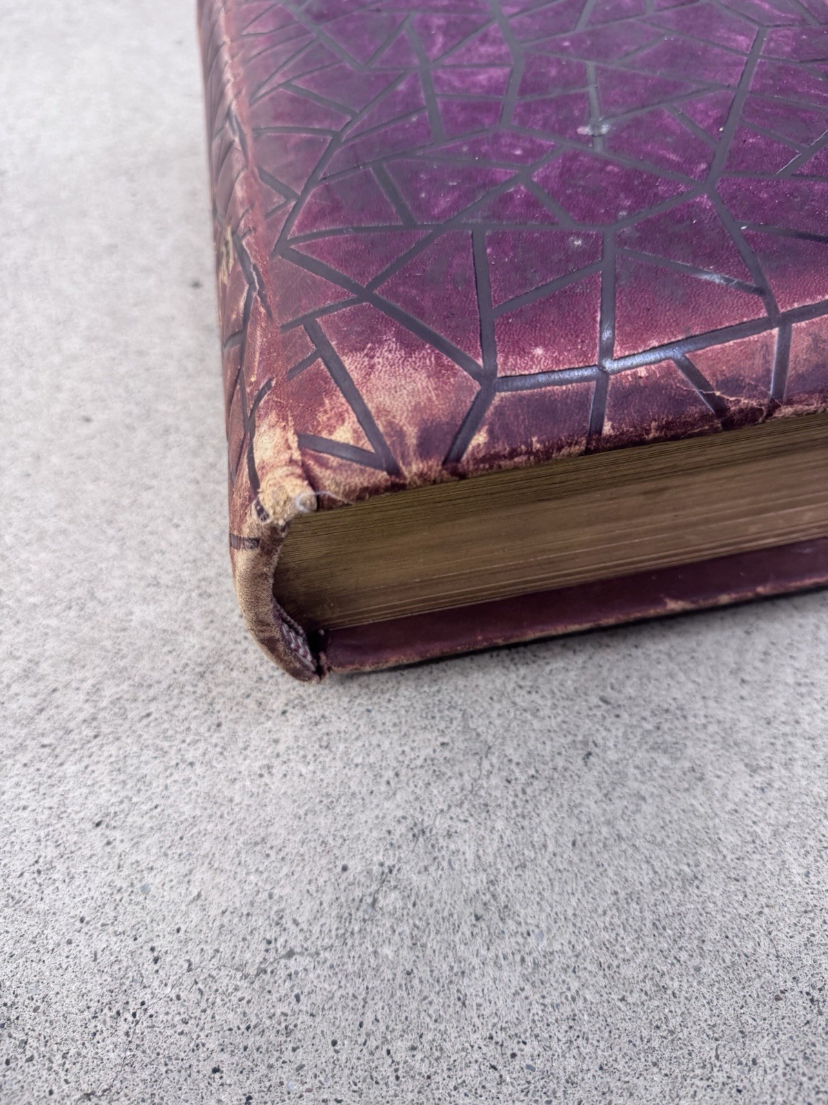 1800s Vintage Book Holy Bible Altemus Antique Leather Original