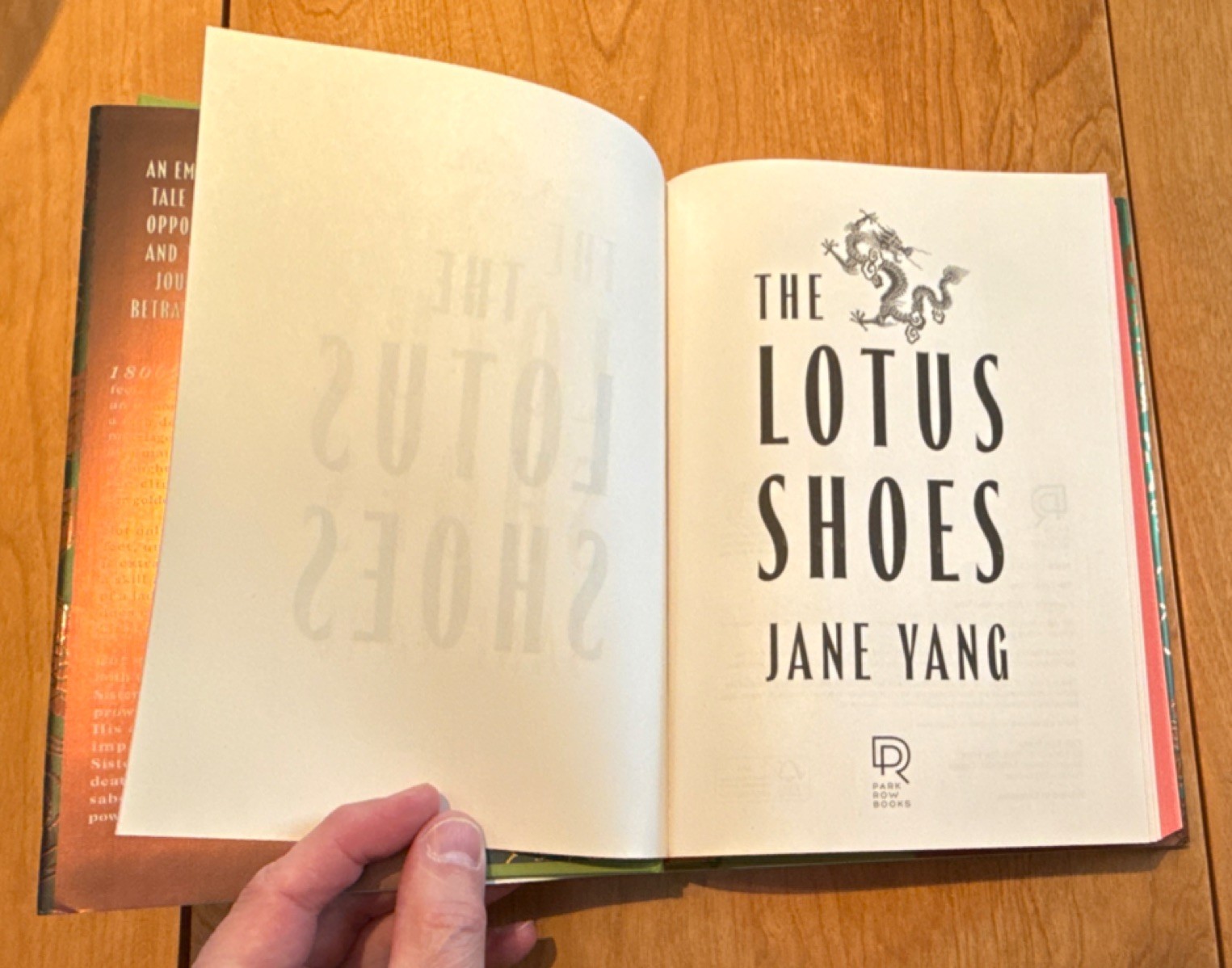 The Lotus Shoes by Jane Yang Hardcover Fiction Novel, Sisterhood, Historical