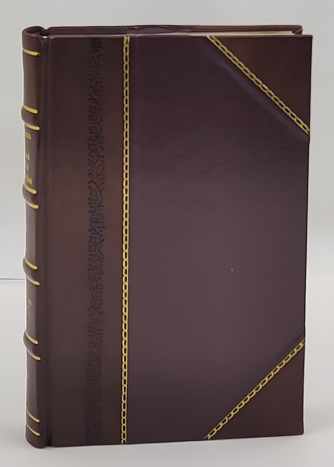 Dispensational truth : or, God’s plan and purpose in the ages [Leather Crafted]