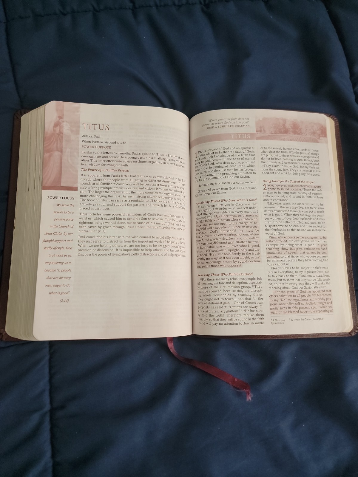 Power For Life Genuine Leather TNIV Study Bible