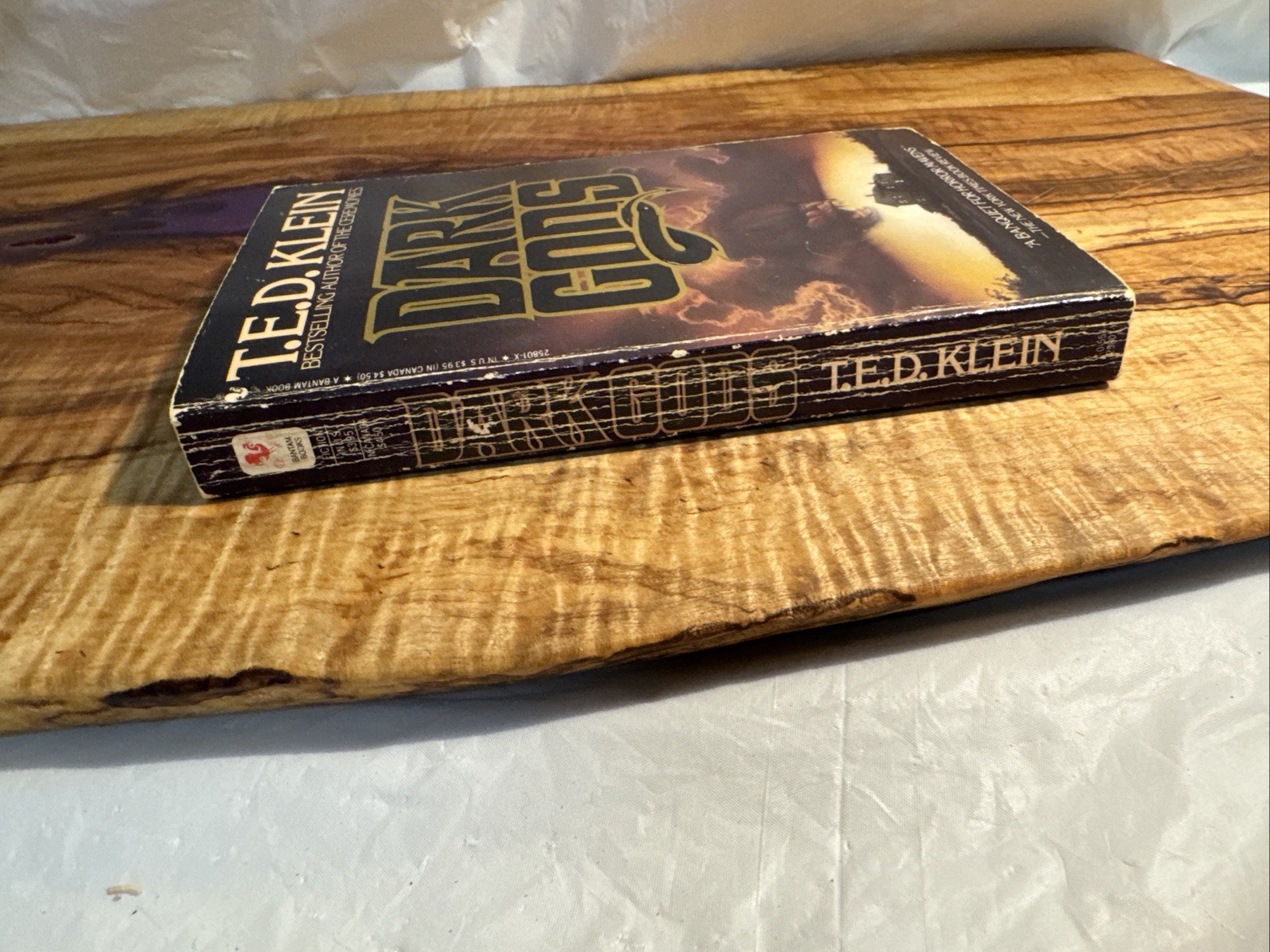 Dark Gods by T.E.D. Klein (1986 Bantam Edition) Vintage Horror Paperback Book