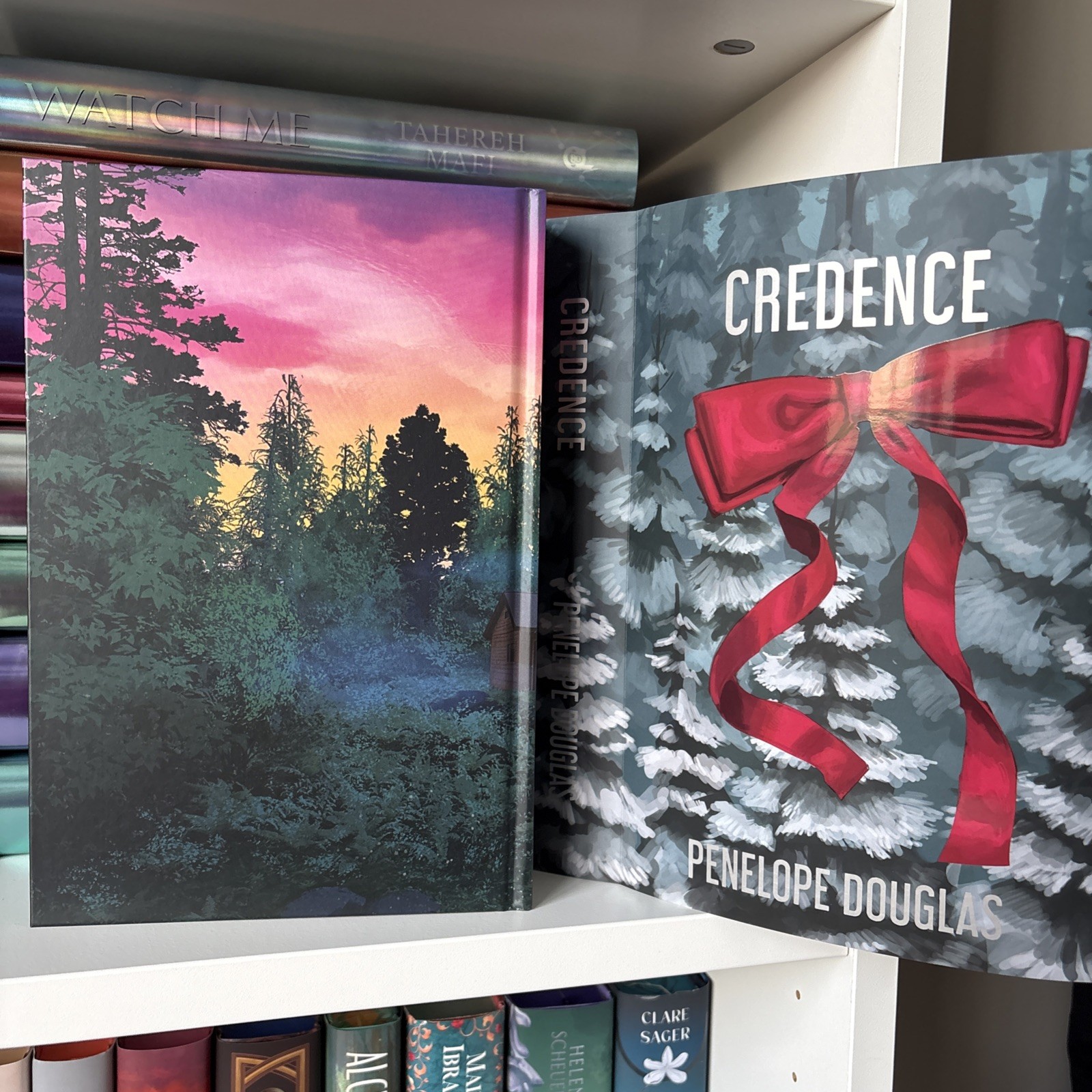 Credence by Penelope Douglas Books For Days Crate Special Edition with Overlay