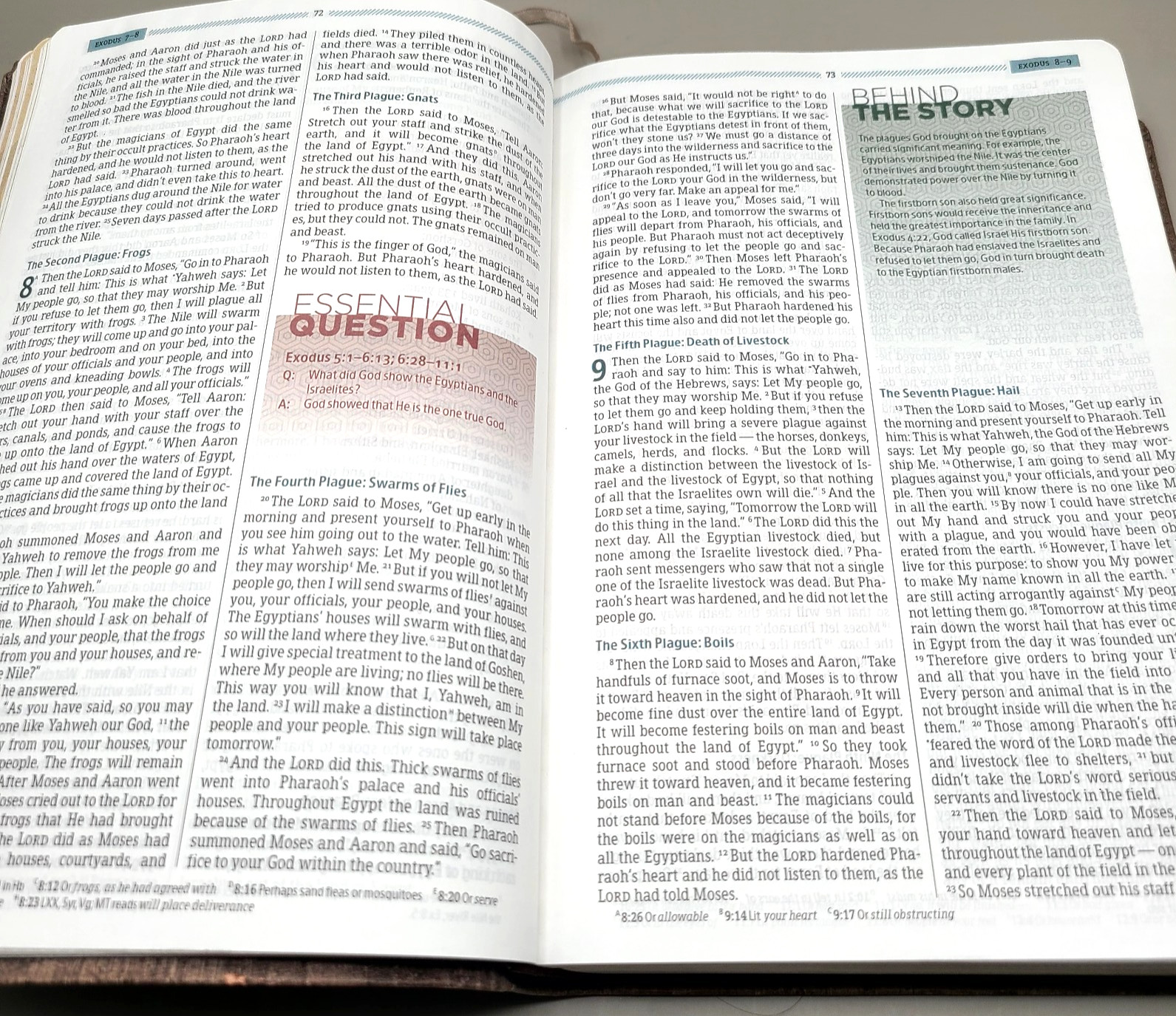 Essential Teen Study Bible : Holman Christian Standard Bible