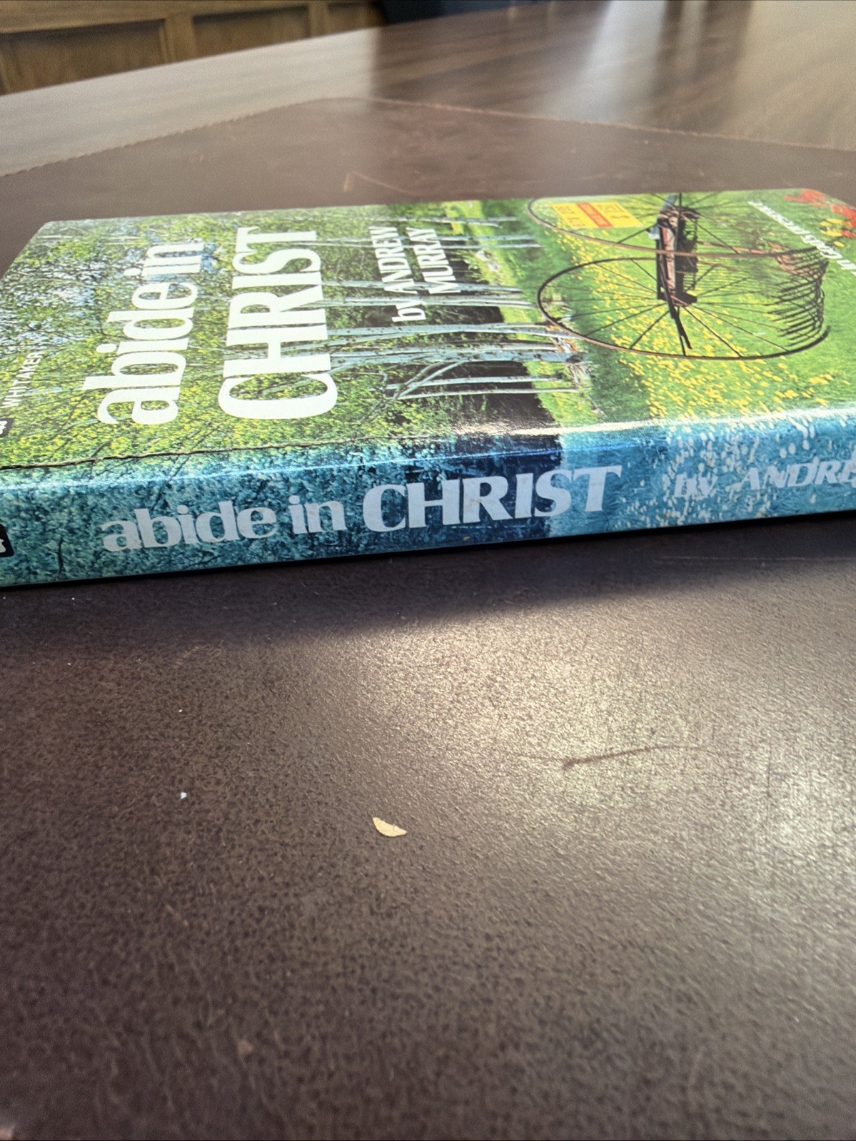 Abide in Christ | by Andrew Murray | Whitaker House Paperback VTG c.1987