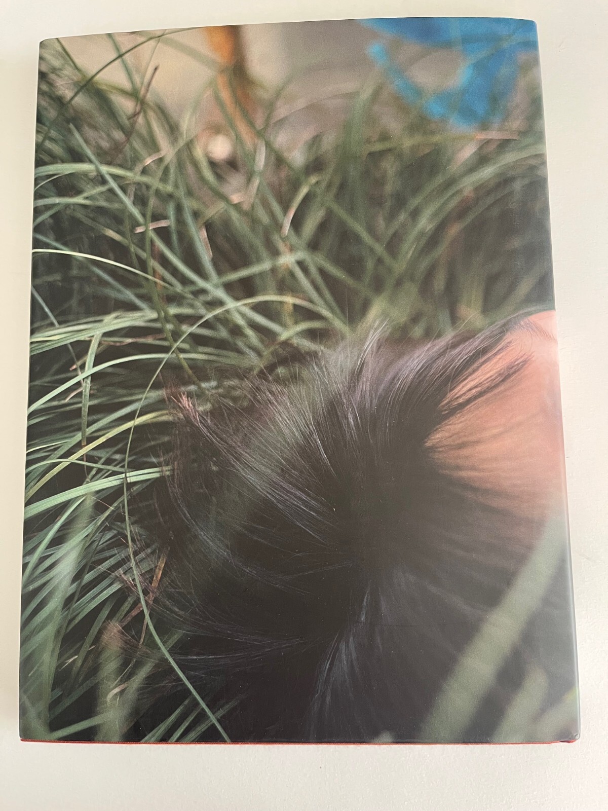 Shen Wei ~ Chinese Sentiment ~ photography, Peter Hessler, limited Edition