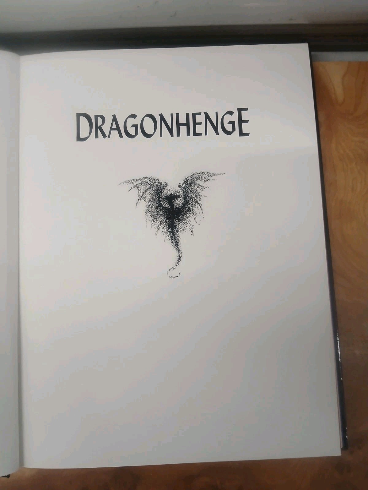 Dragonhenge Book by Bob Eggleton & John Grant Fantasy Medieval Magic Gift Legend