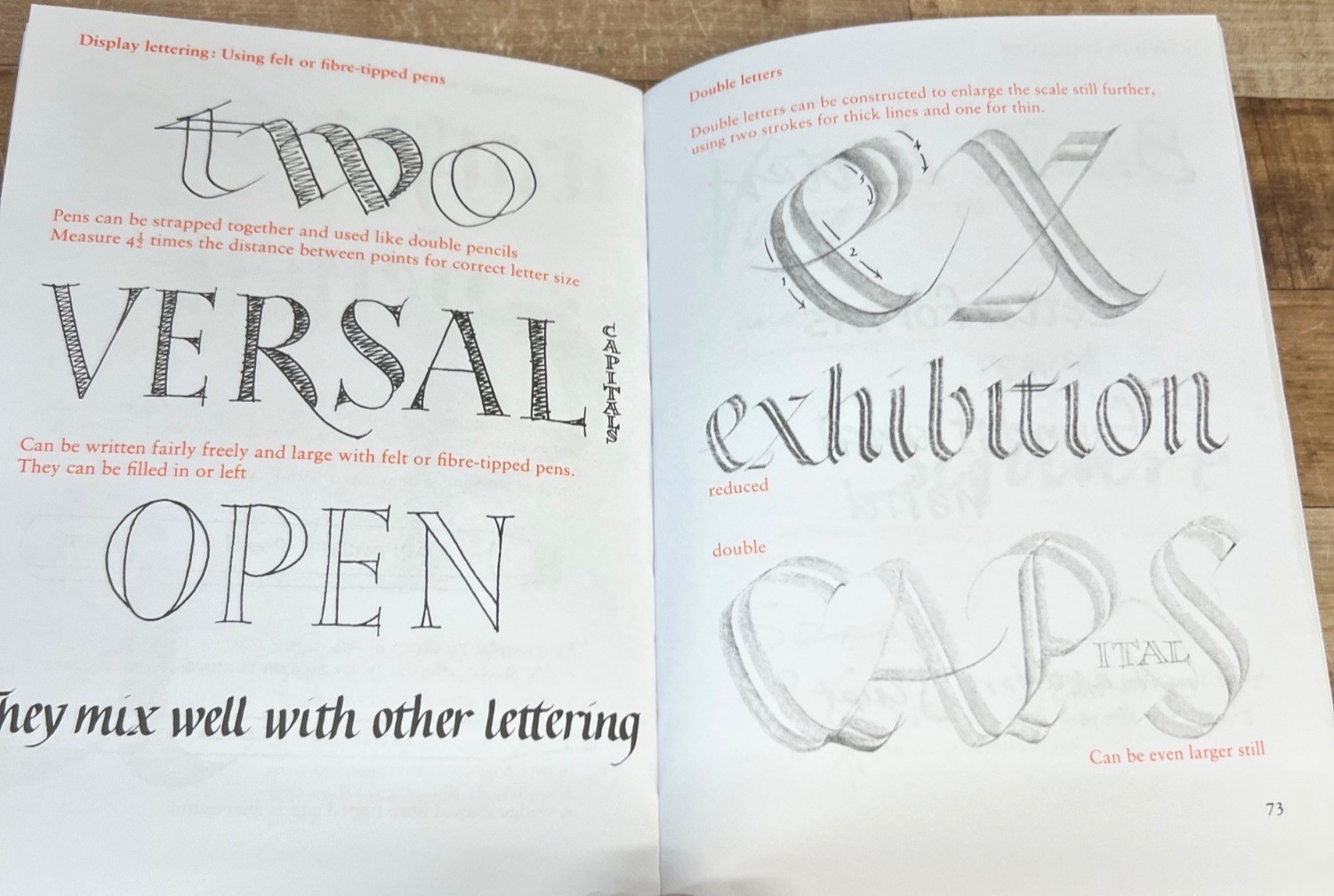 The Practical Guide To Calligraphy By Rosemary Sassoon Paperback 96 Pages
