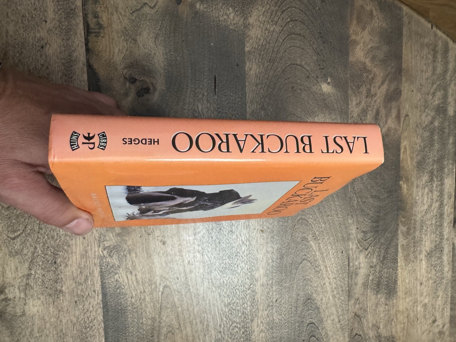 Last Buckaroo (1st Ed) Signed by MacKey Hedges