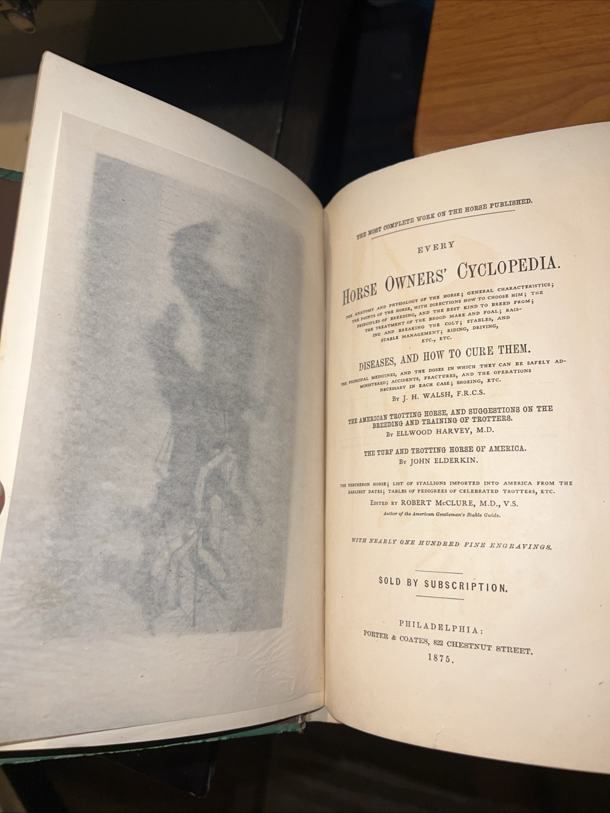 Every Horse Owners‘ Cyclopedia – Diseases, And How To Cure Them 1875 & 1971