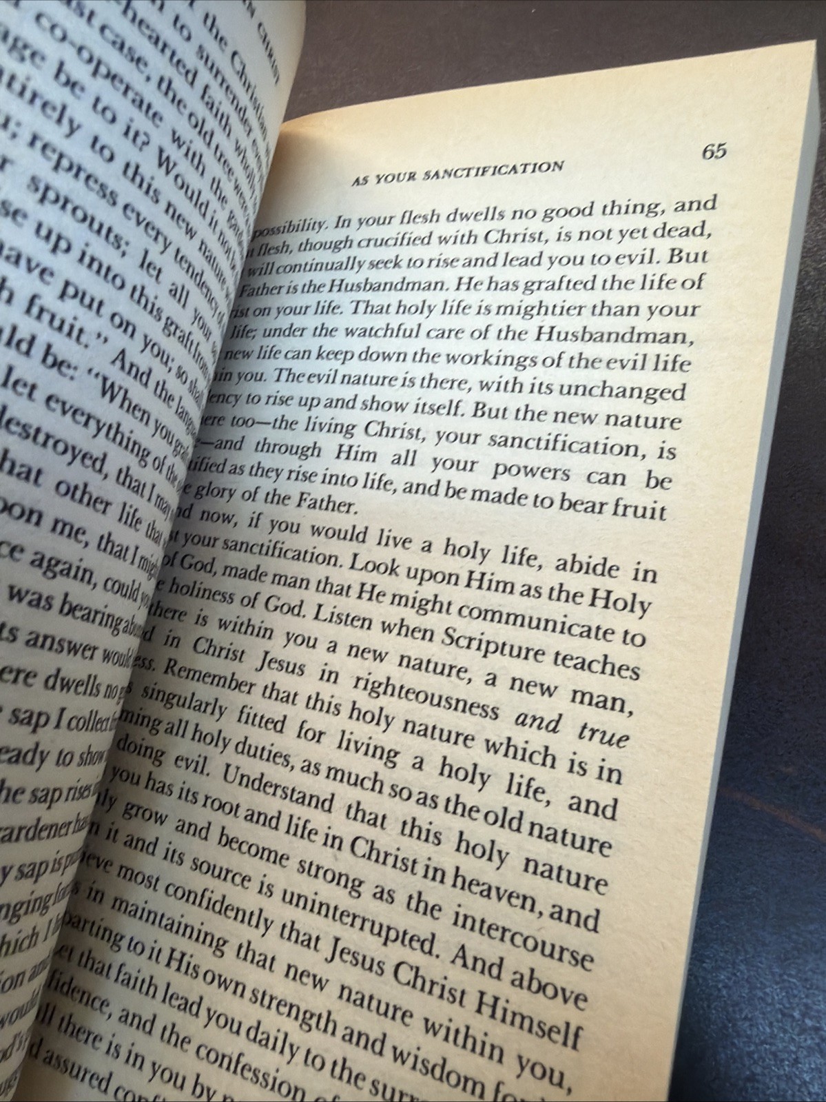 Abide in Christ | by Andrew Murray | Whitaker House Paperback VTG c.1987