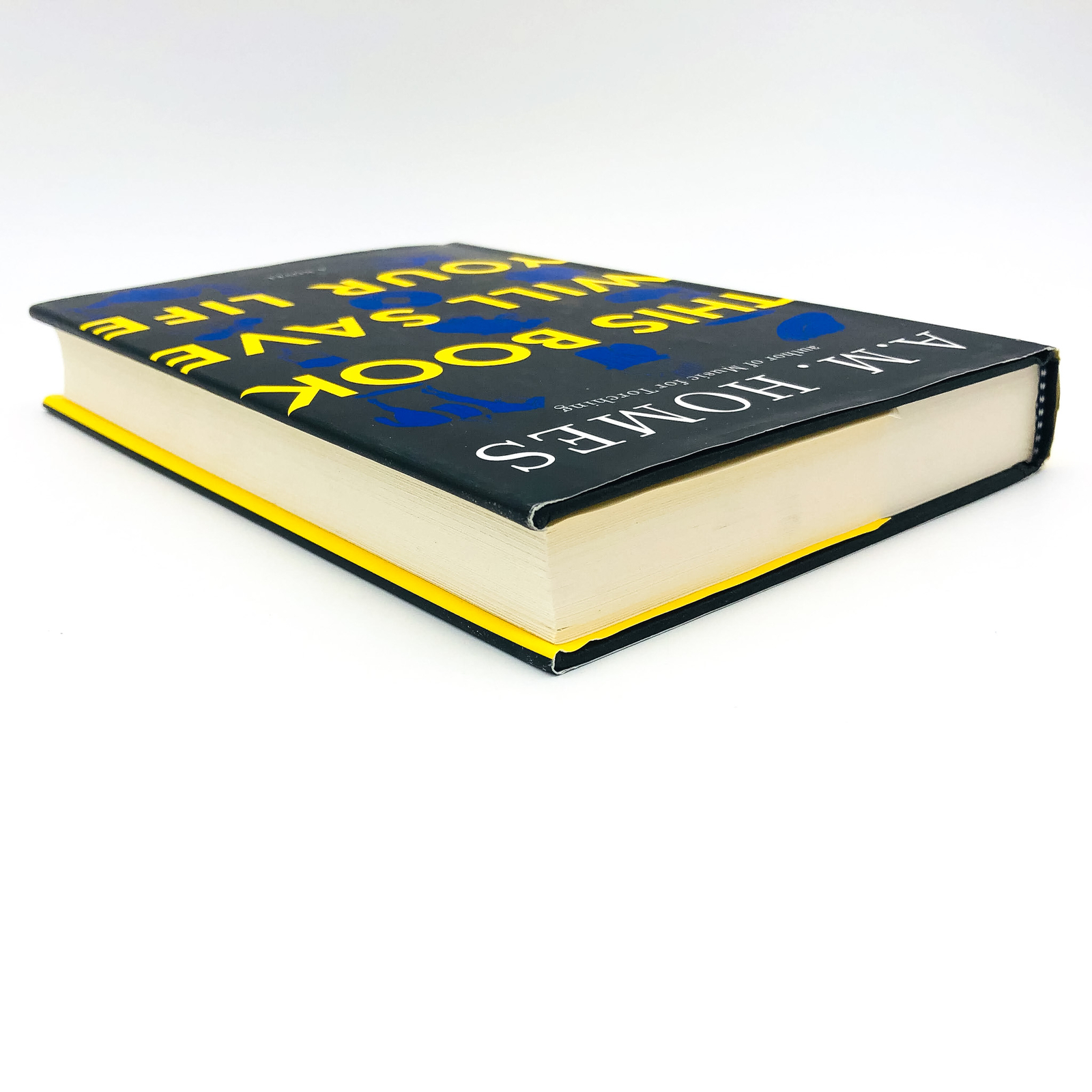 This Book Will Save Your Life Hardcover A. M. Homes 2006 Mid Life Crisis 1st EY