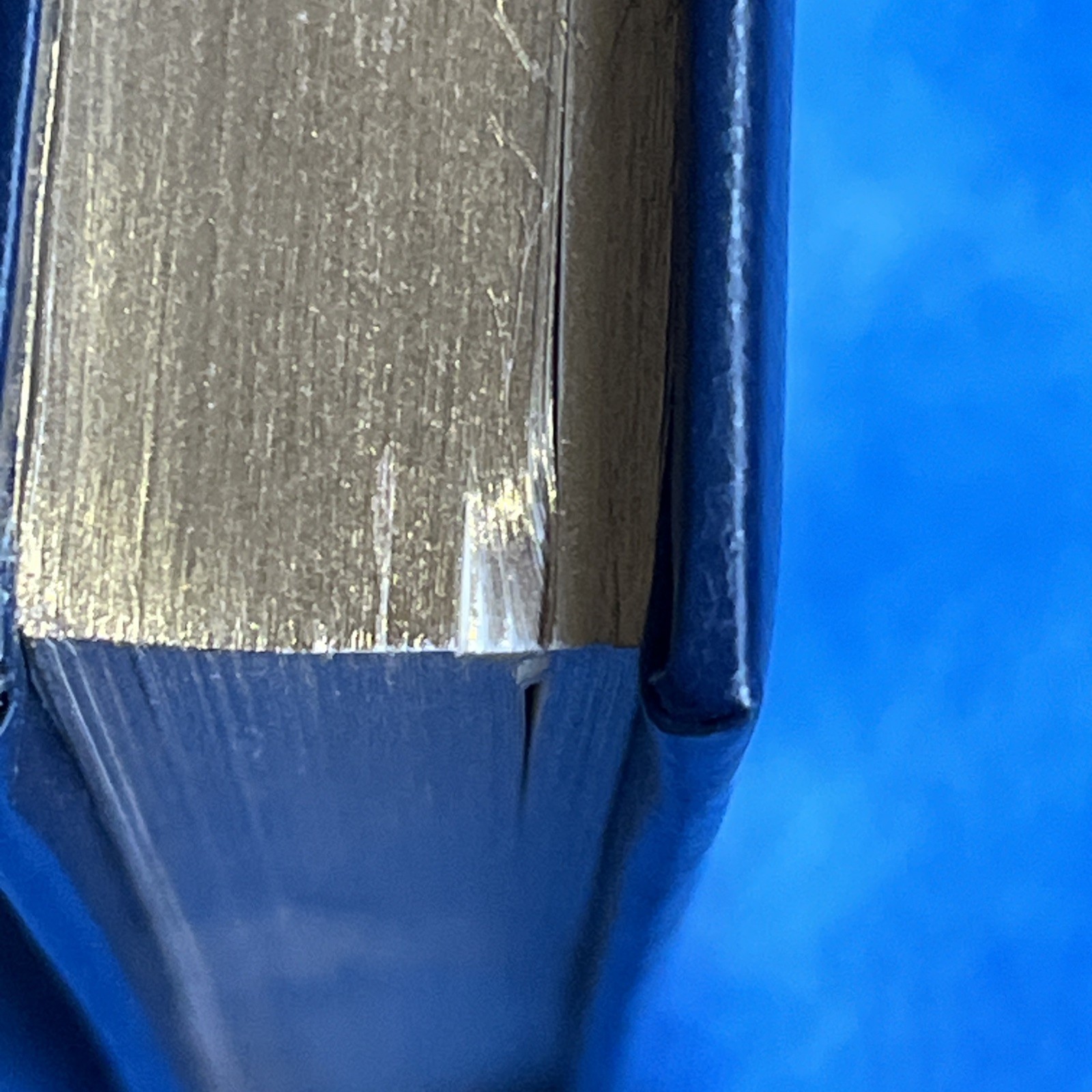 PEACE LAGOON Sacred Songs 6th Edition Compact Sikh Dharma Gold Glided pages