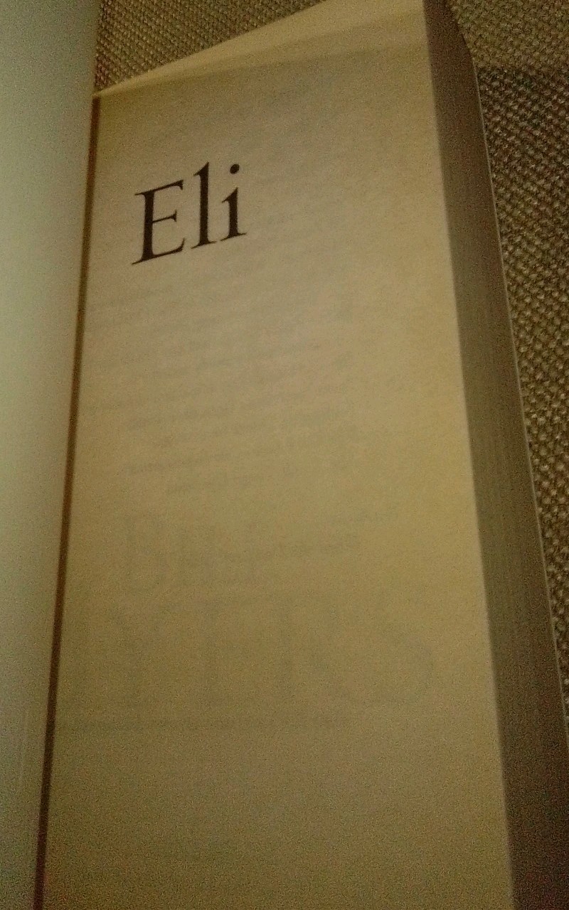 Bill Myers Book Lot 2 Paperback First Edition_Eli-2000_Blood Of Heaven-1996