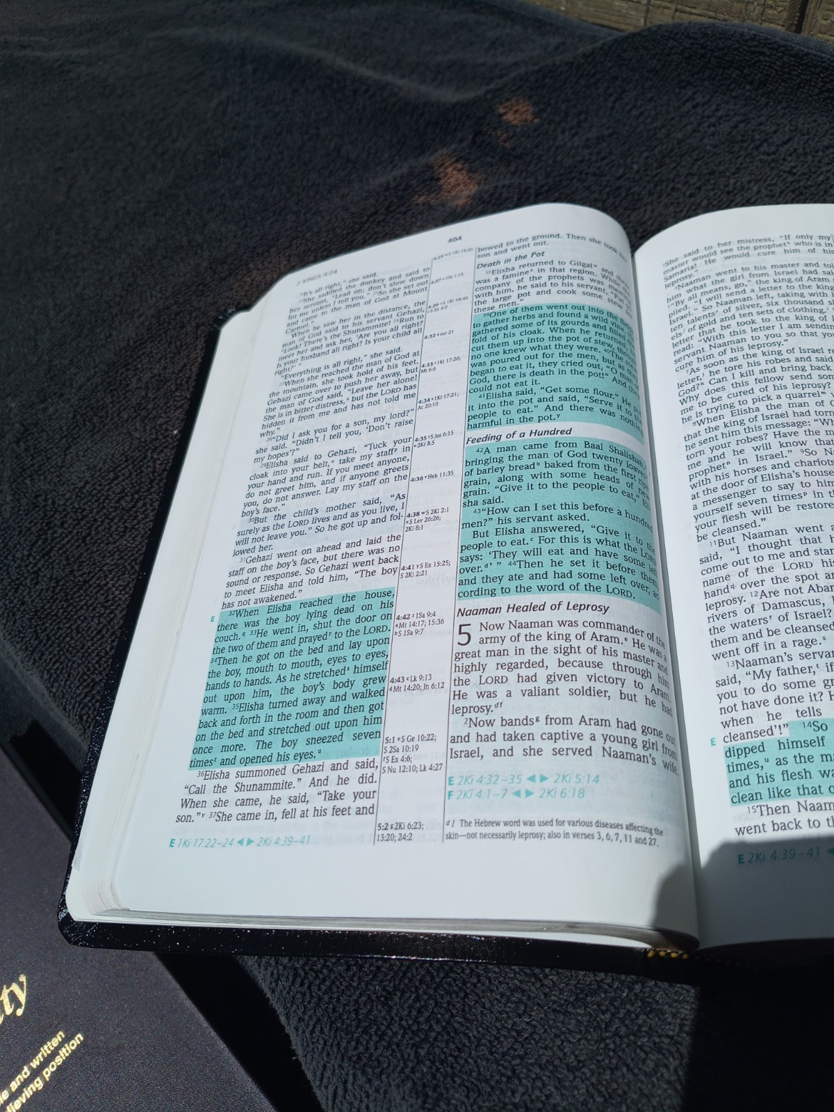 1998 NIV Prophecy Marked Reference Study Bible Bonded Leather Great Resource!