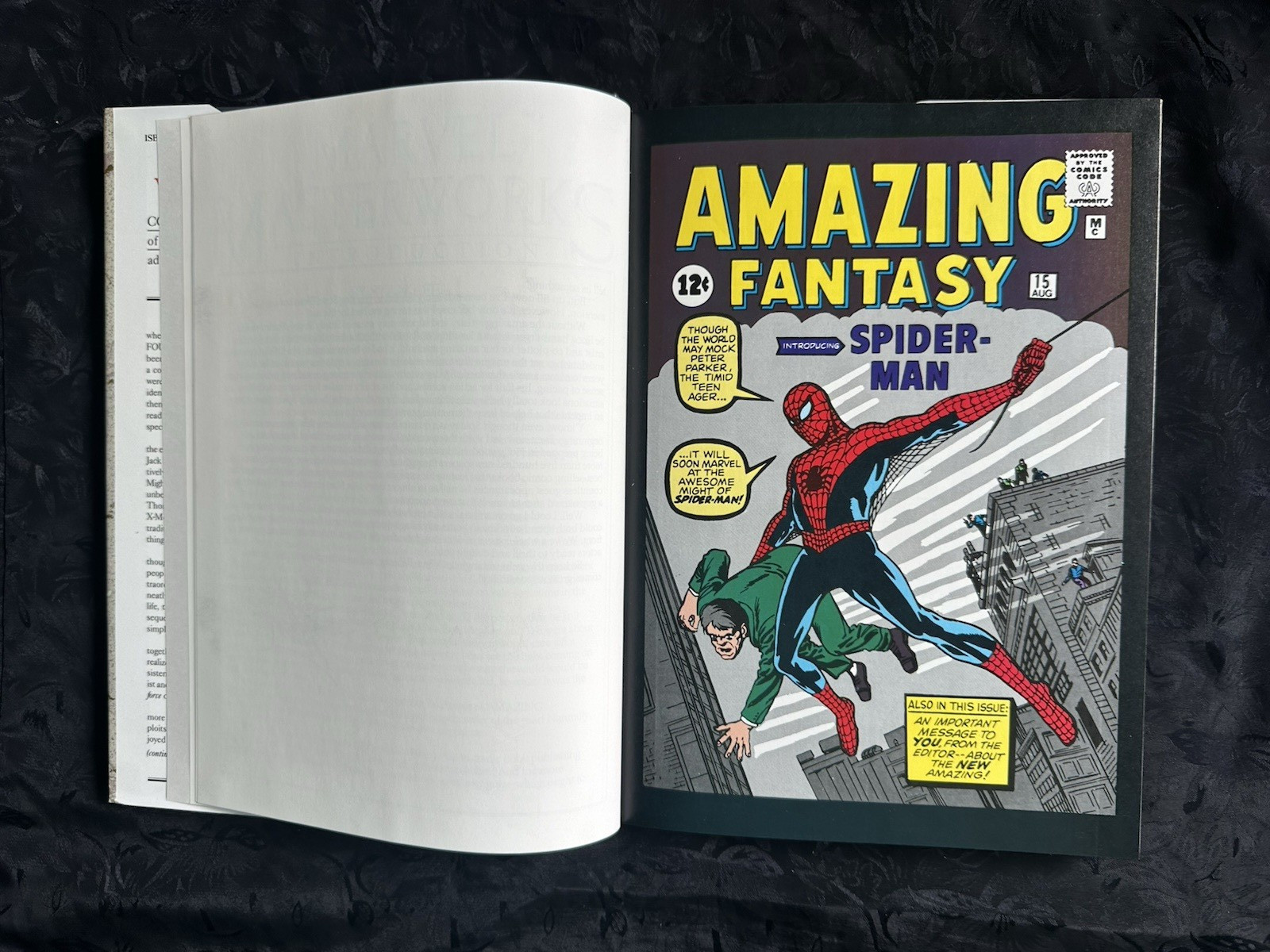 Marvel Masterworks Amazing Spiderman Vol. 1. AMS #1-10 & Amazing Fantasy #15.