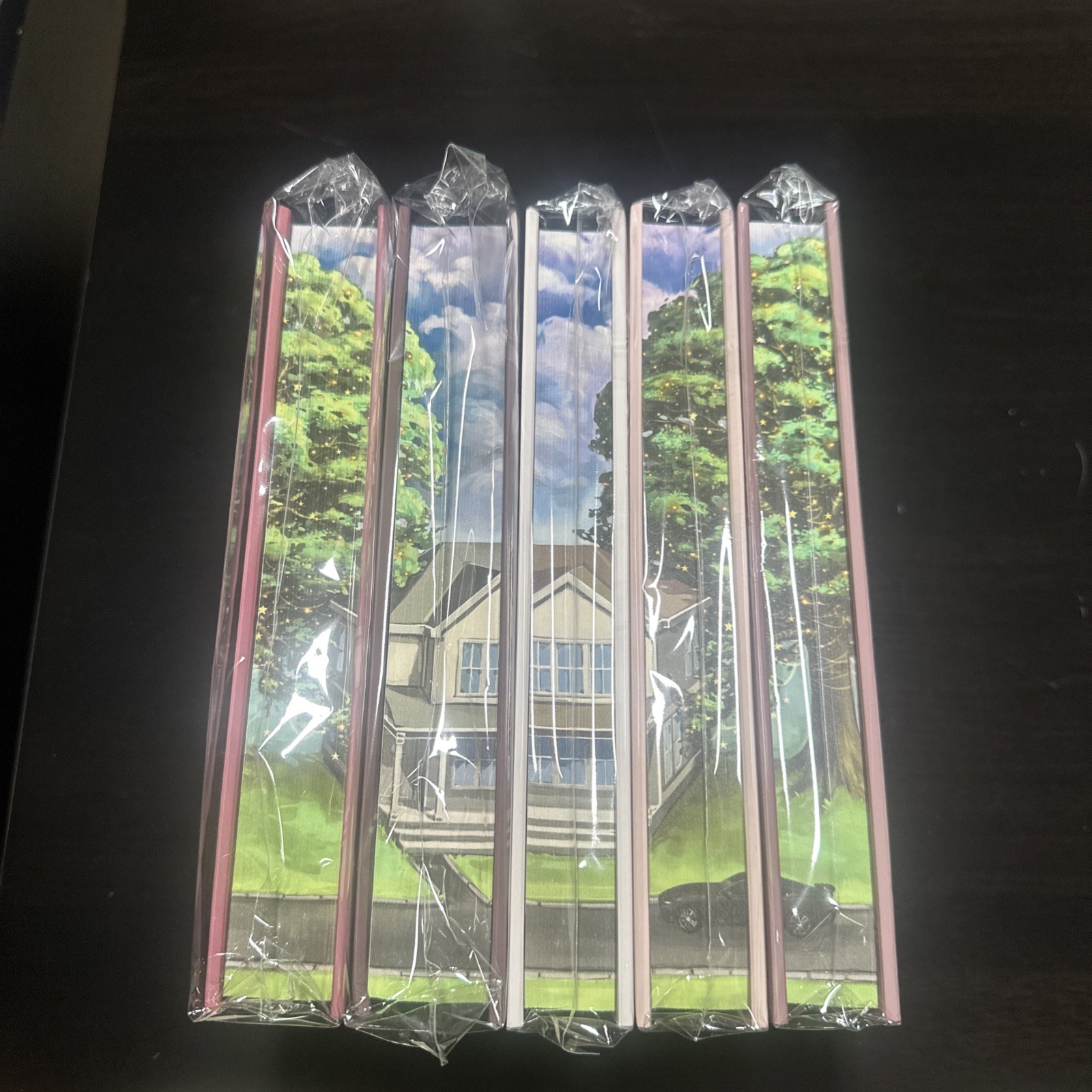 SEALED Books For Days Crate Penelope Douglas Fall Away BFDC Special Editions