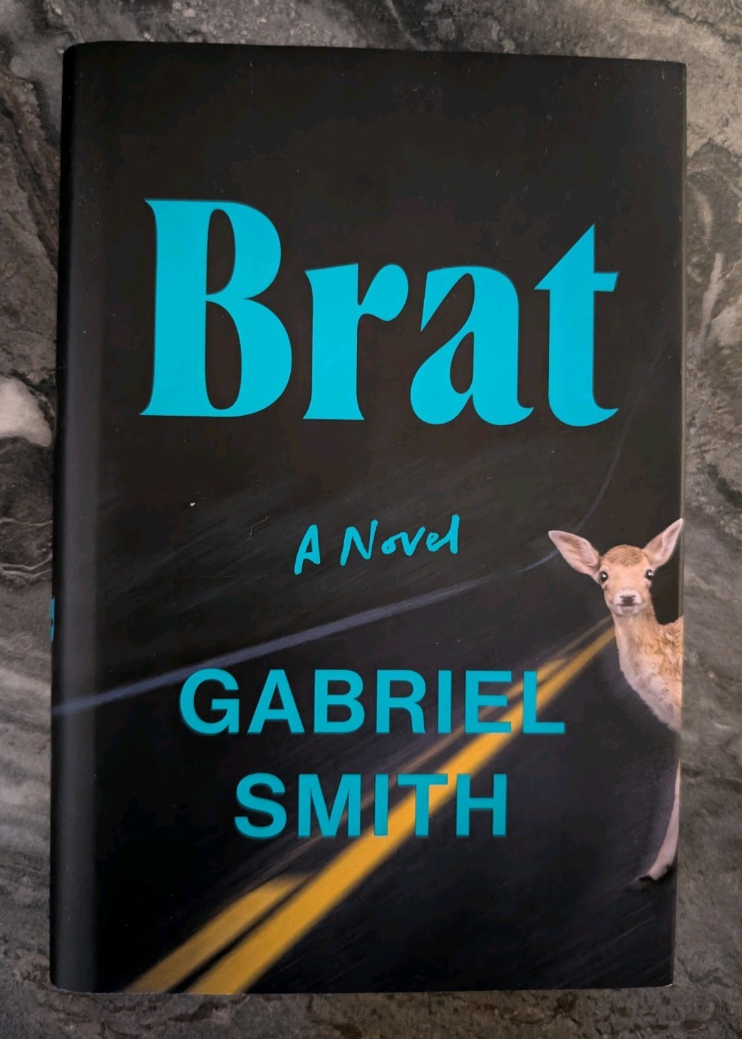 Brat a Novel by Gabriel Smith (2024, Hardcover) Very Good Condition