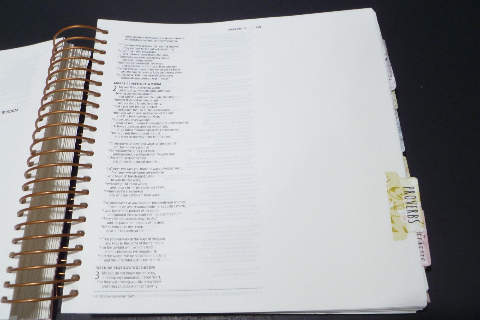 Illustrating Bible NIV Pink by Dayspring (2020, Spiral)