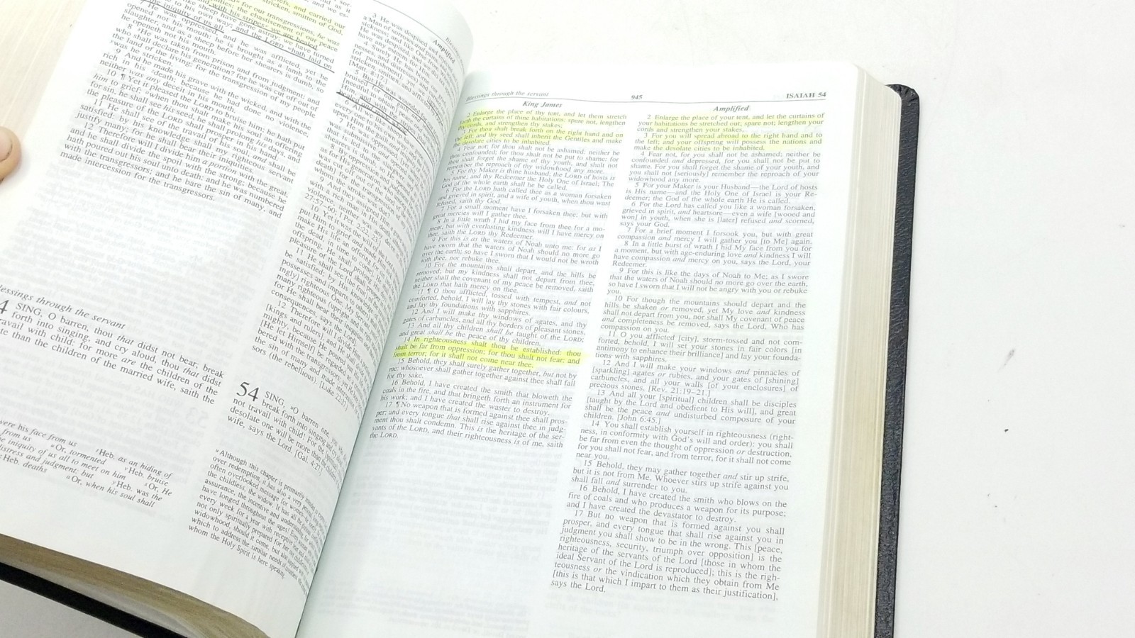 KJV Amplified AMP Parallel Bible by Zondervan Staff (1995, Leather)