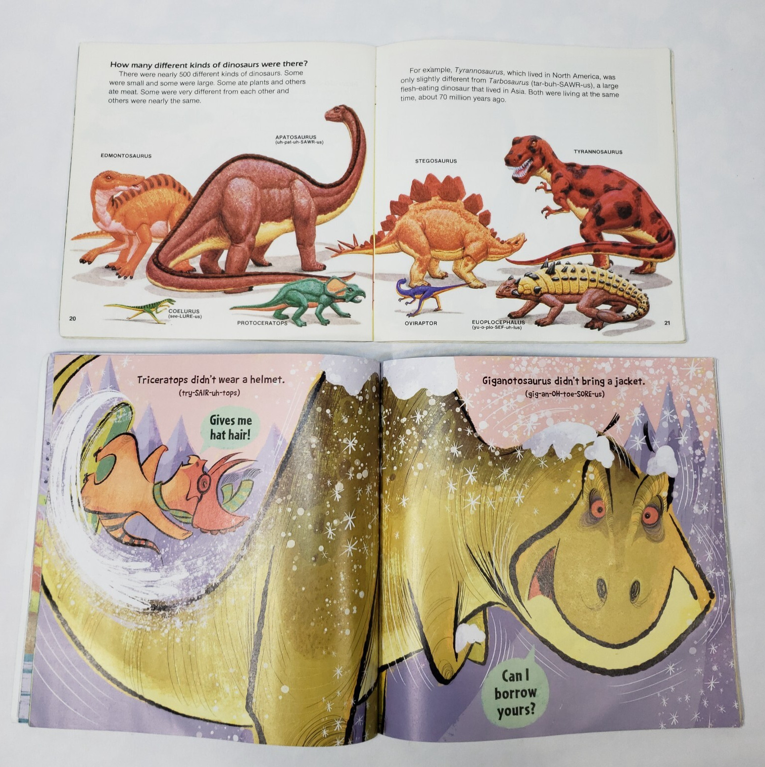 Kids Books About Dinosaurs Lot Of 10 Homeschool Classroom Library Picture Books