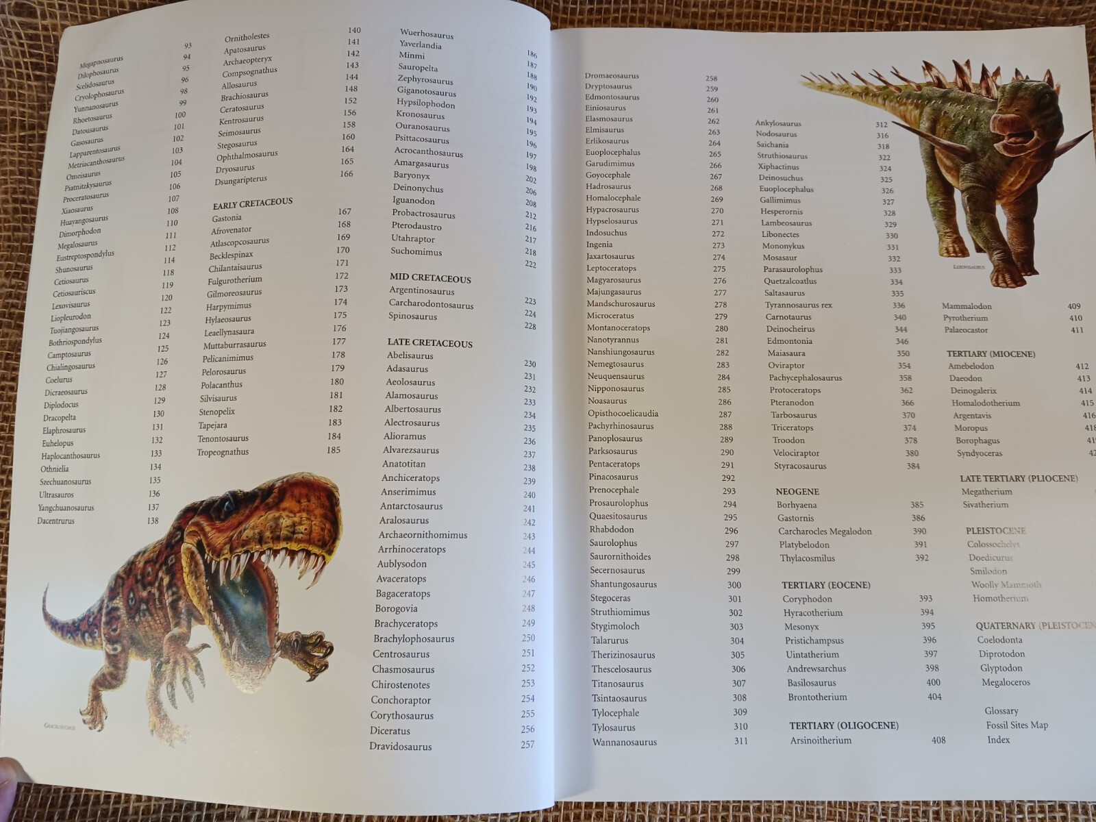 dinosaurs and other prehistoric animals by amber