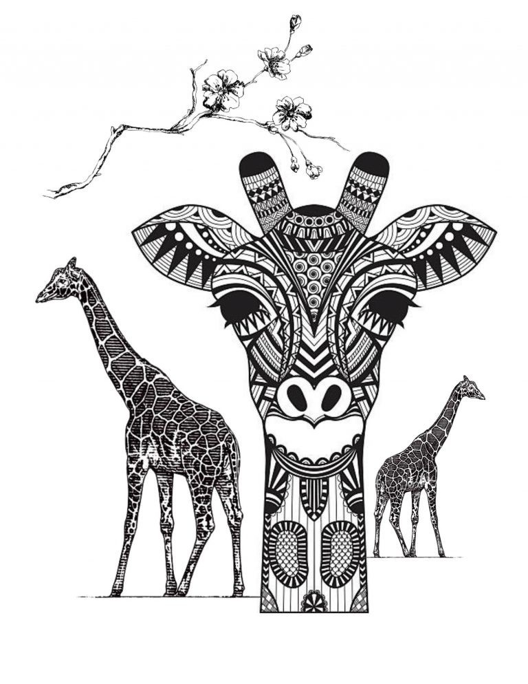 Save the Giraffes Coloring Book for Adults Teen 108 Pages 8.5 x 11 for All Ages