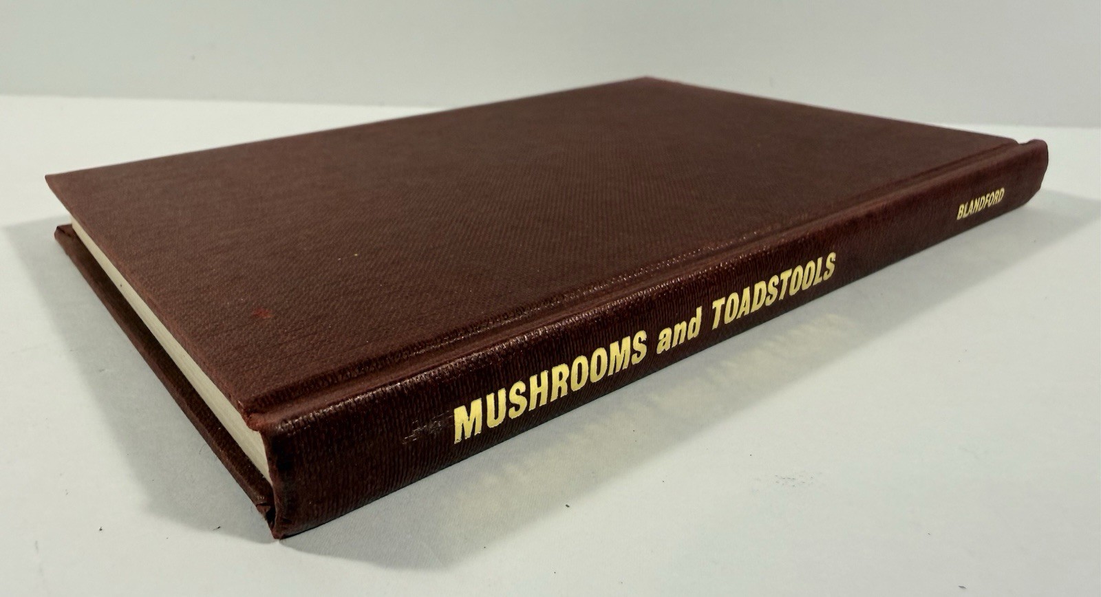 1961 Mushrooms Toadstools in Colour Blandford First Edition Dust Jacket Hvass