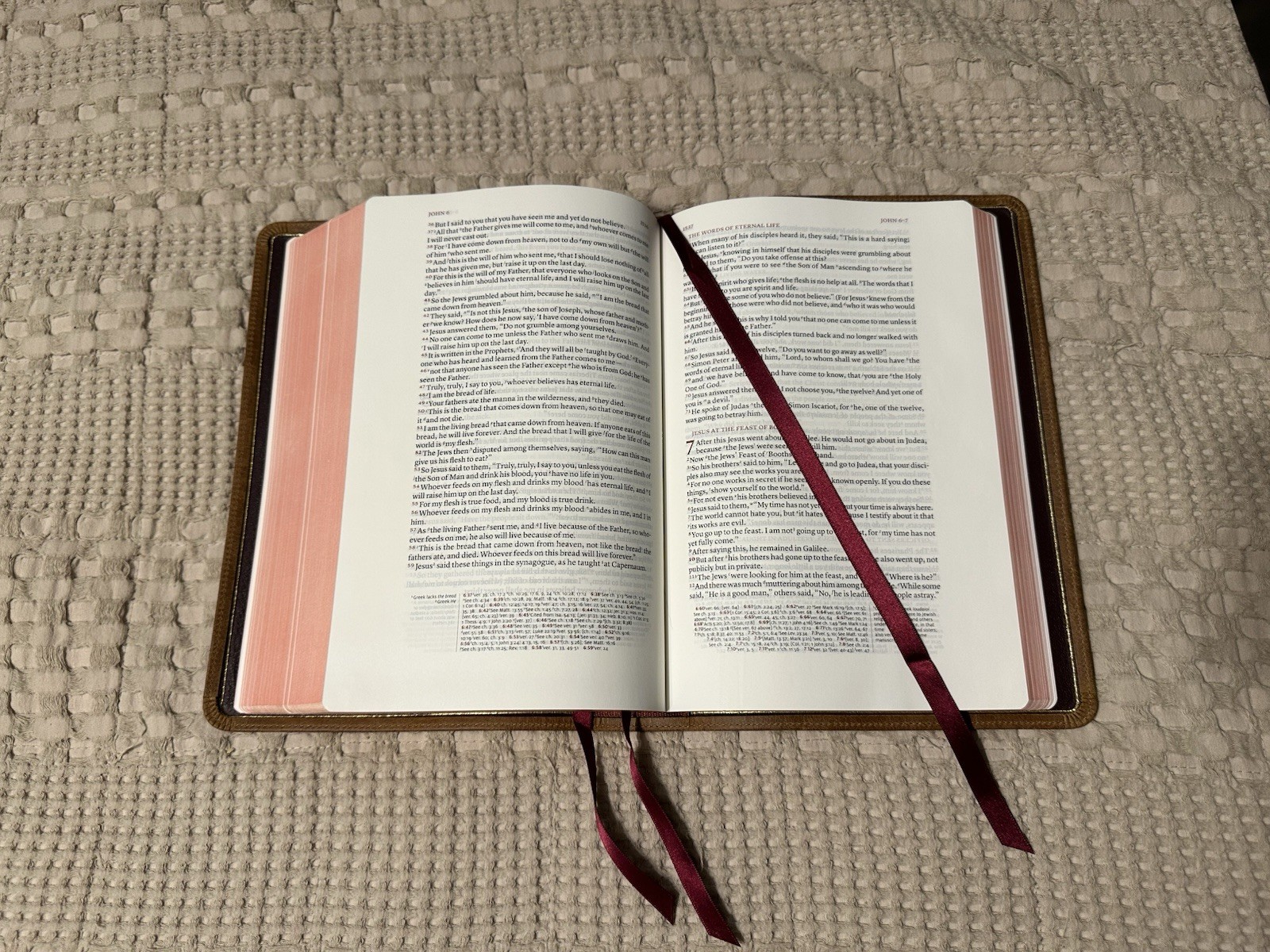 Schuyler ESV Stridon Bible – Desert Camel Calfskin Leather