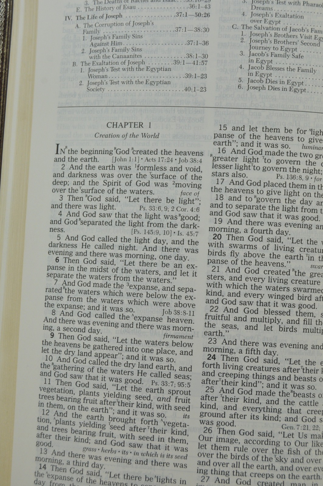 The Open Bible Expanded Edition NASB Brown Genuine Leather RL 1985 Nelson 976BR