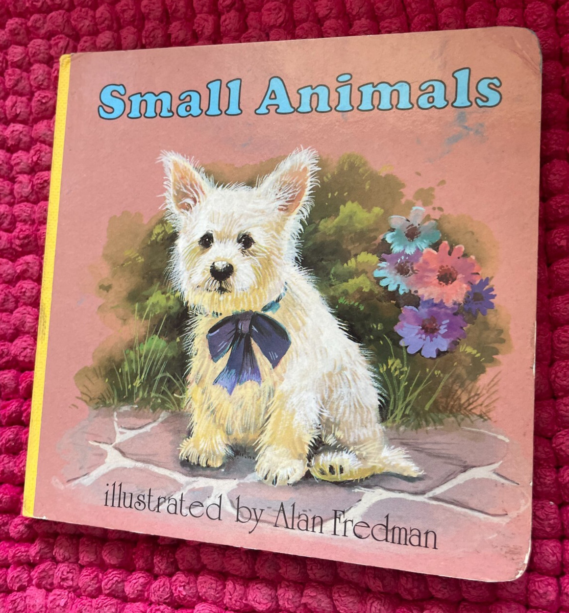 ALAN FREDMAN. SMALL ANIMALS. BOARDED. 14 BY 14CM. 1992 – 9780861635641