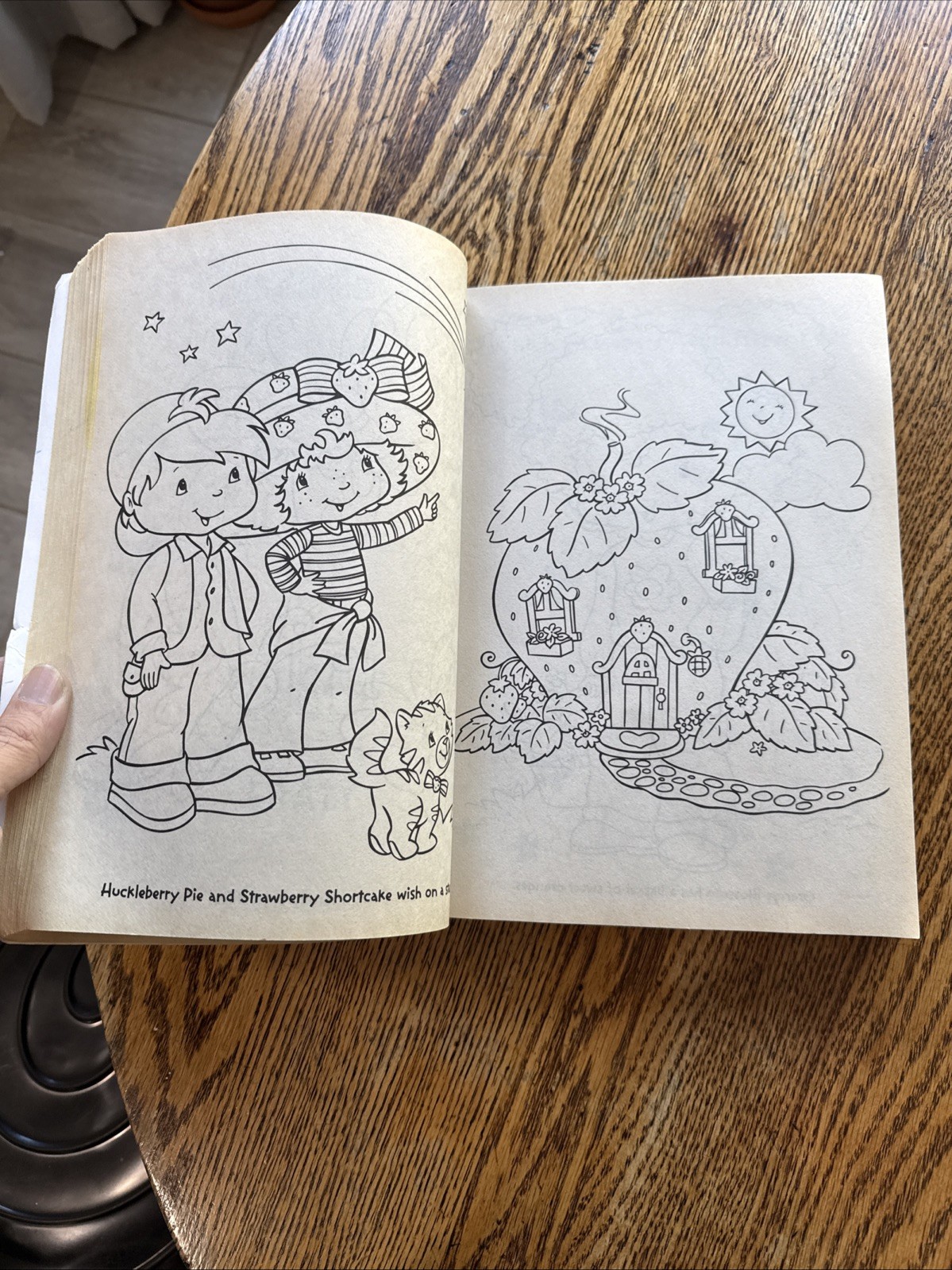 Strawberry Shortcake: : 400 Pages of Coloring Fun! (Strawberry Shortcake) BB