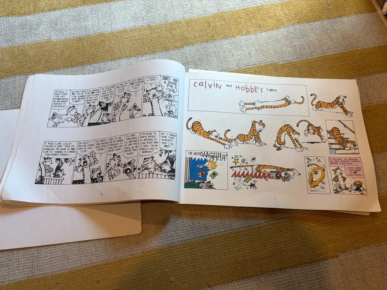 Calvin and Hobbes The Days Are Just Packed (INCOMPLETE BOOK, READ DESCRIPTION)