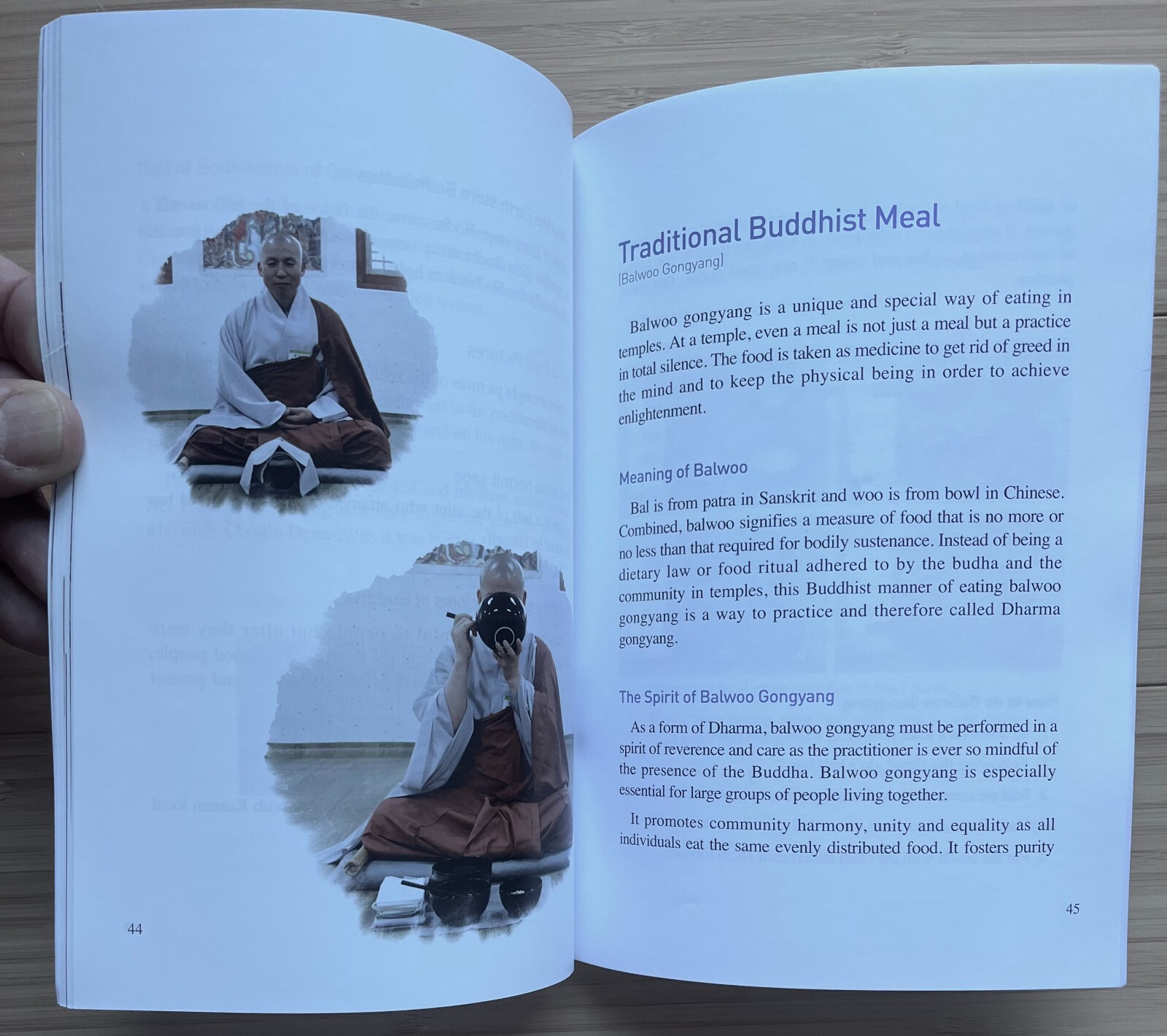 South Korea History – Buddhist Temple Busan Beomeosa Art Architecture Guide Book