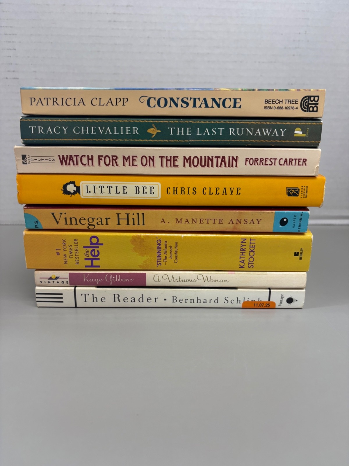 Historical Fiction Lot of 8 Trade Paperbacks (See Photos for Titles)