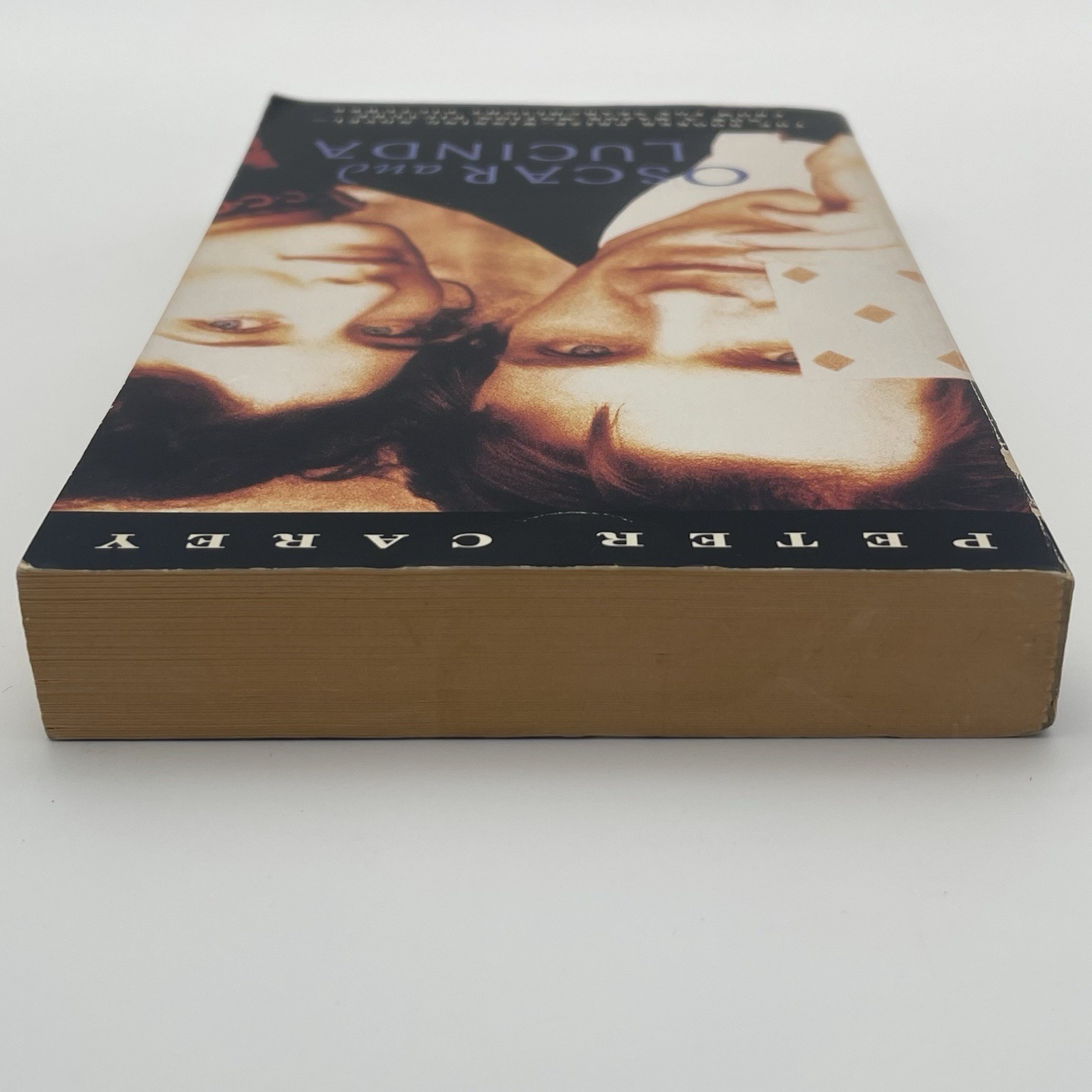 Peter Carey Lily King Literary Fiction Set Psychological Novels