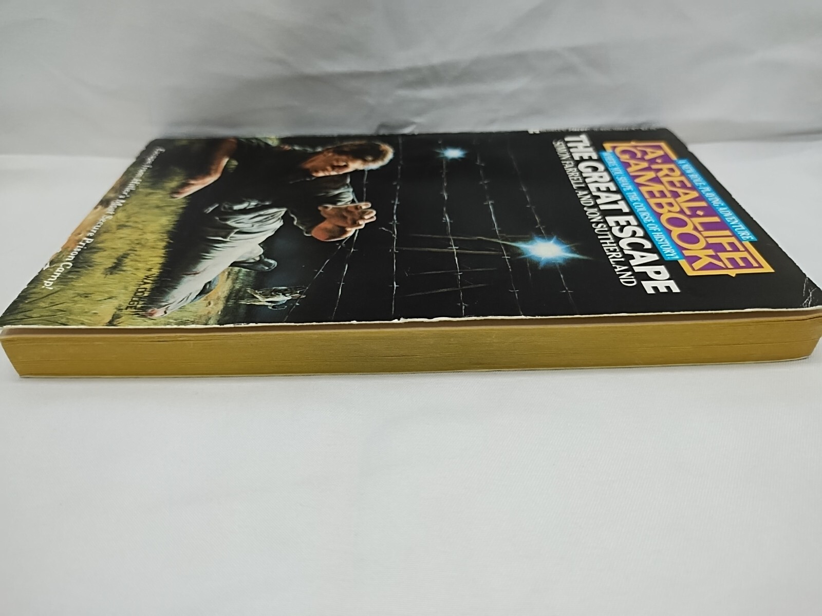 A Real Life Gamebook The Great Escape Choose Your Own Adventure Book