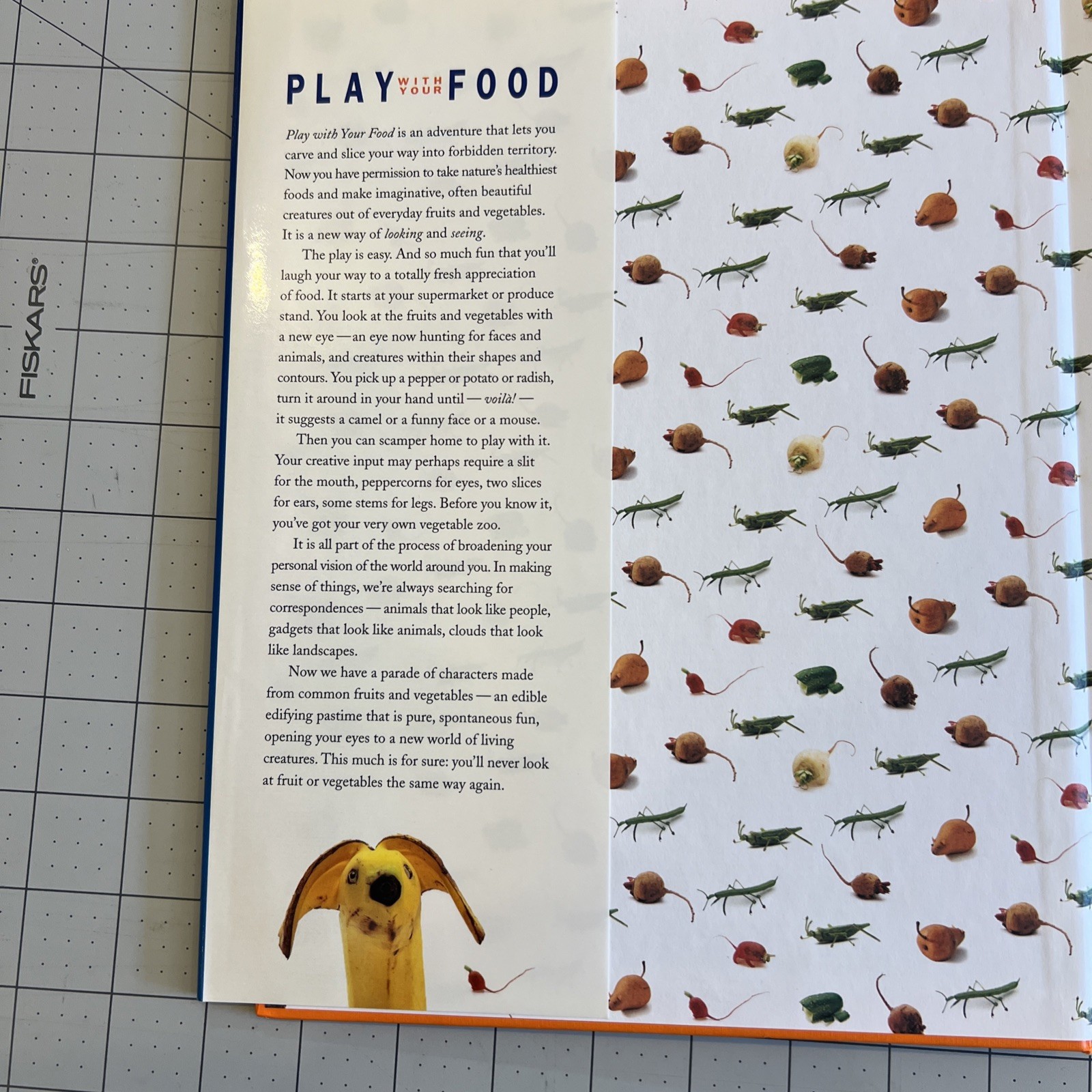 Book Play With Your Food Hard Cover Dust Jacket Joost Elffers 109 Pages