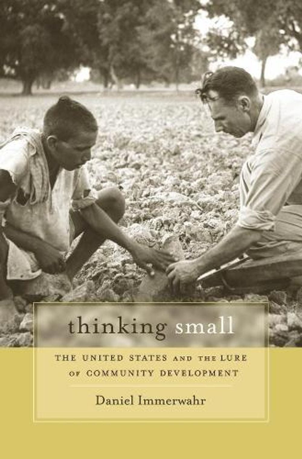 Thinking Small: The United States and the Lure of Community Development by Danie