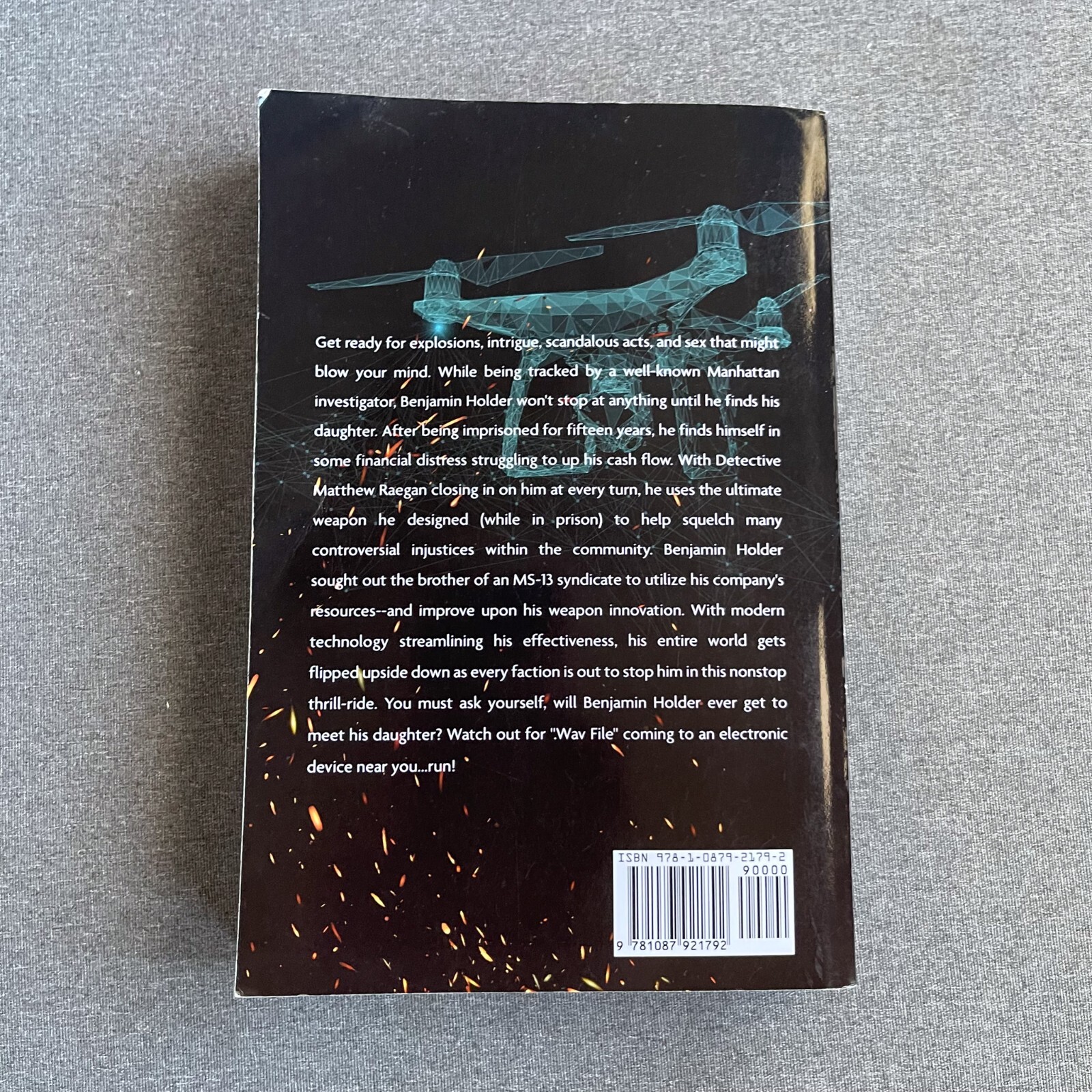 Wav File Paperback – February 2, 2021 by Rich King